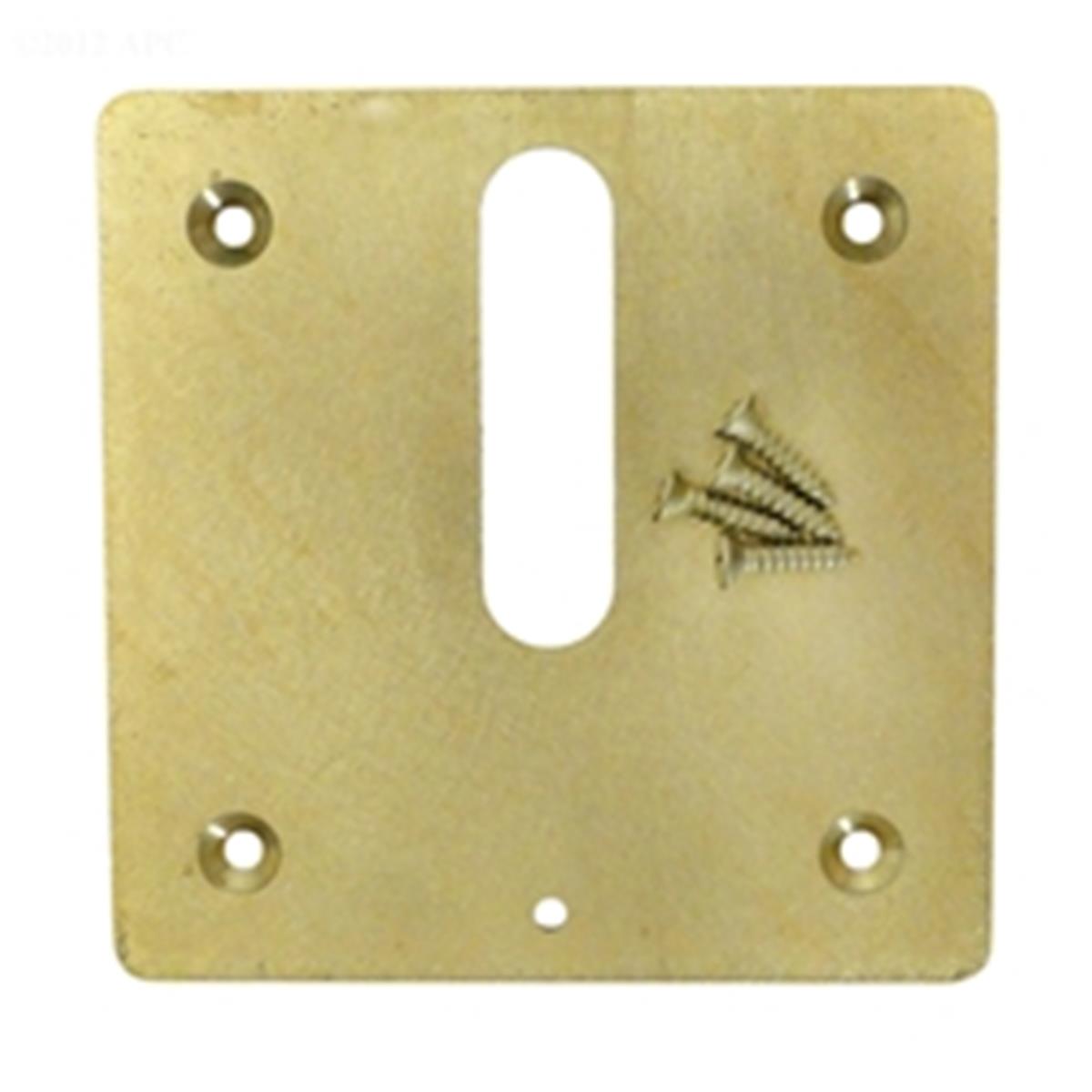 PVMJ6370 Brass Mini Jet Cover Plate