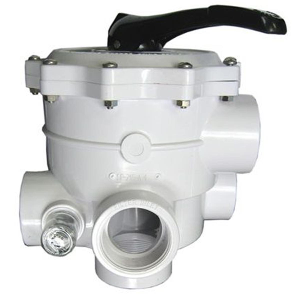 BW MP Valve for Sand 2 in. Female Pipe Thread