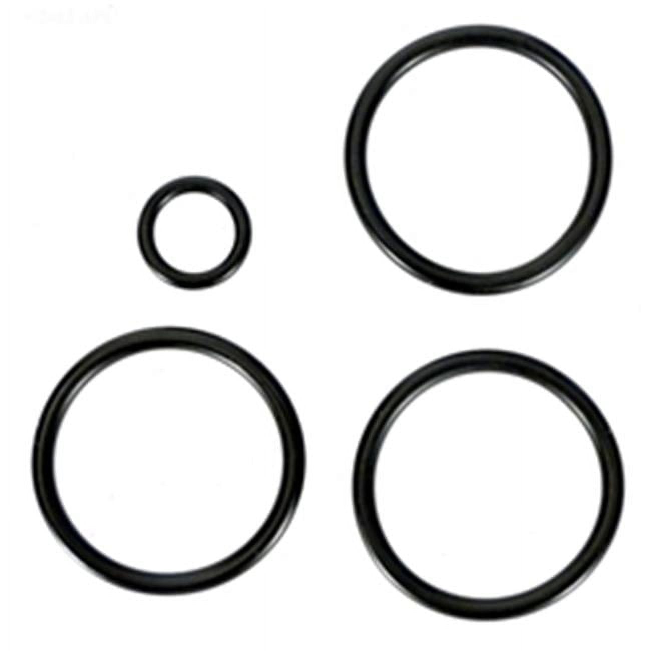 1.5 in. Piston O-Ring Set
