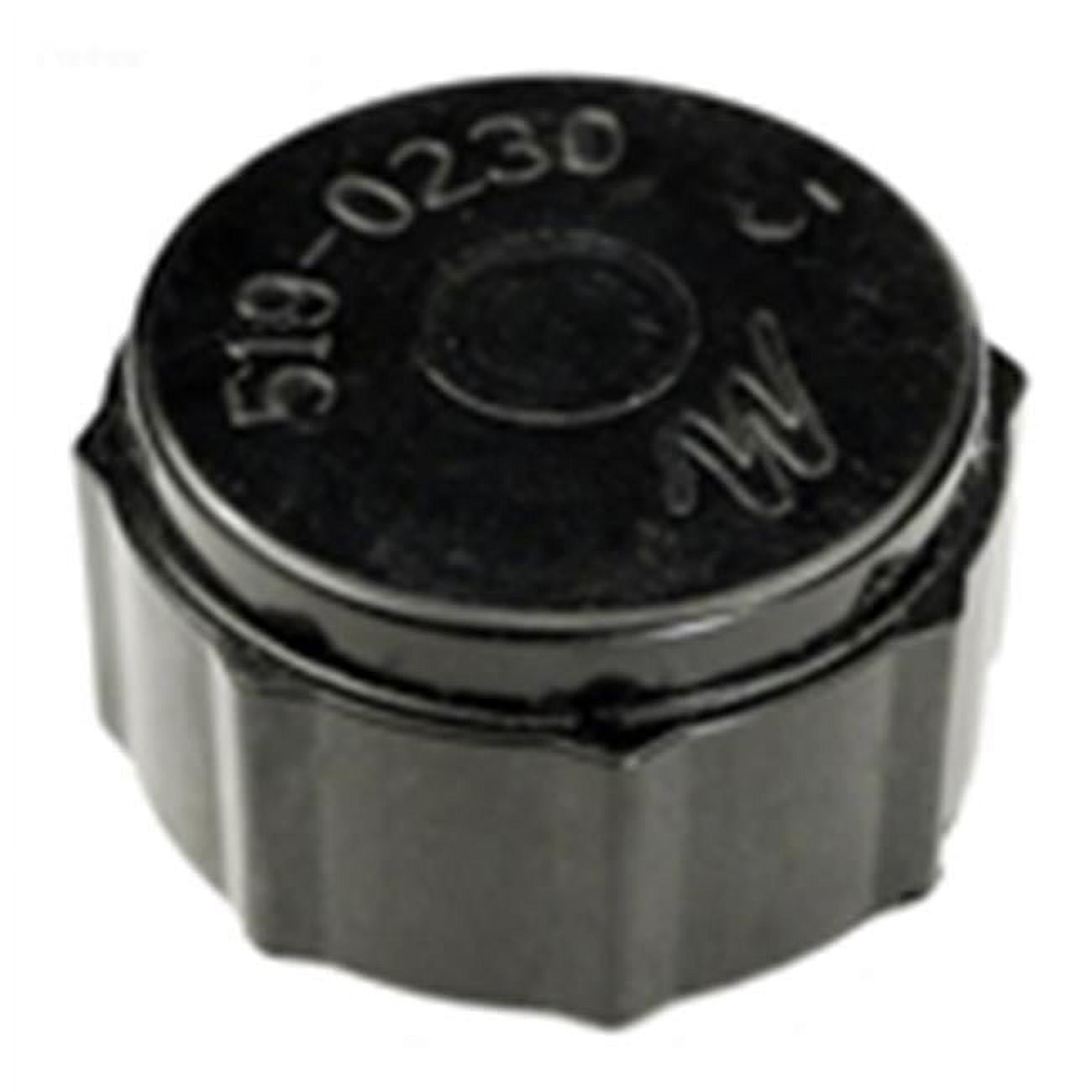 0.75 in. Drain Cap with Gasket Assembly