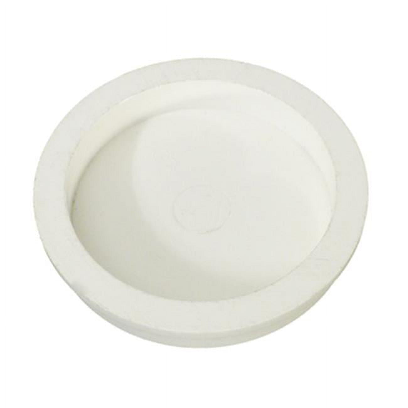 2 in. Filter bypass Plug