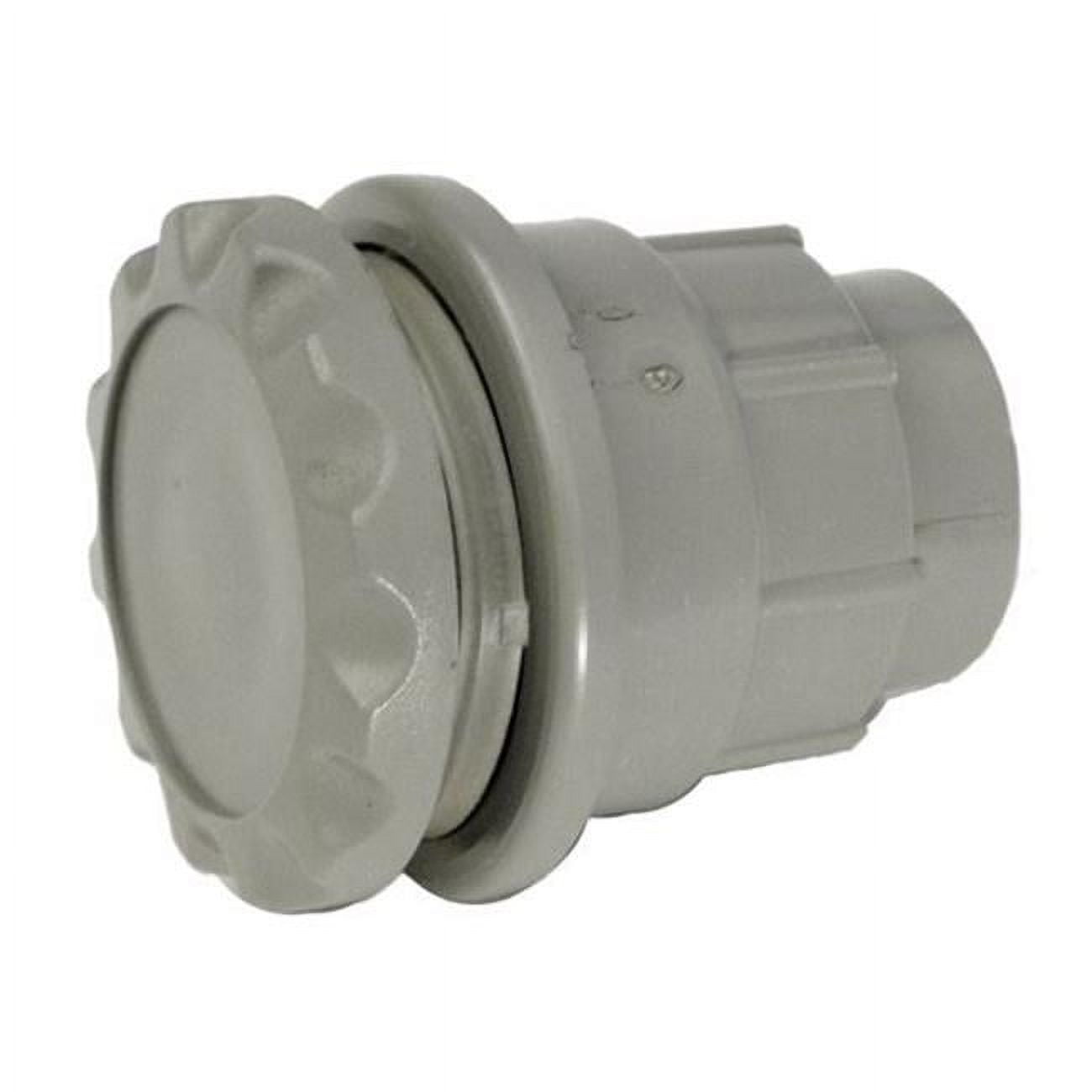 Air Control Gunite Scallop, Gray