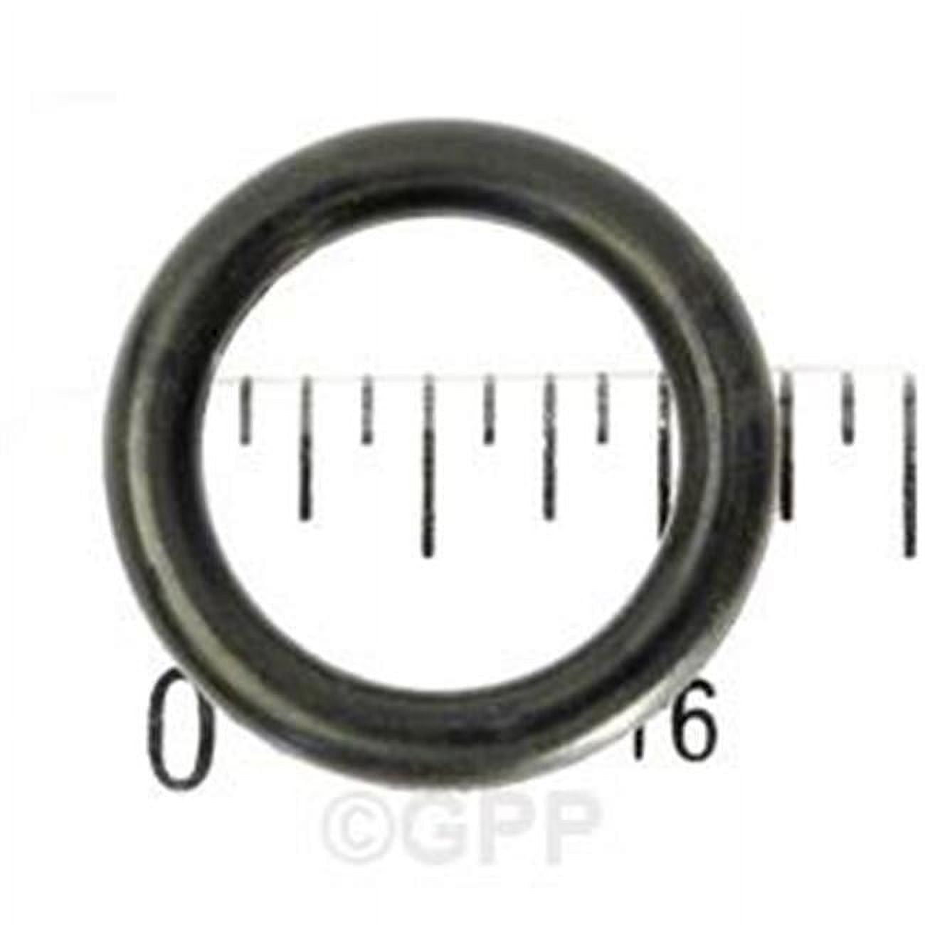 O-Ring Pump Drain Plug