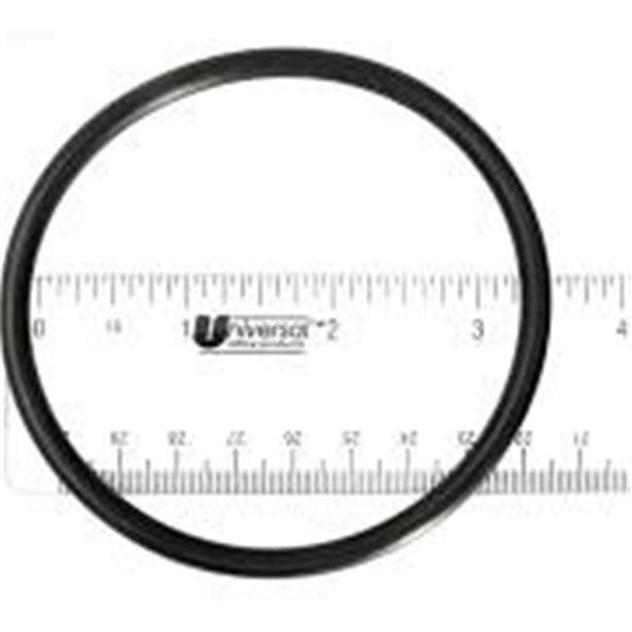 WW8050339 O-Ring - Inground Filter Cpl