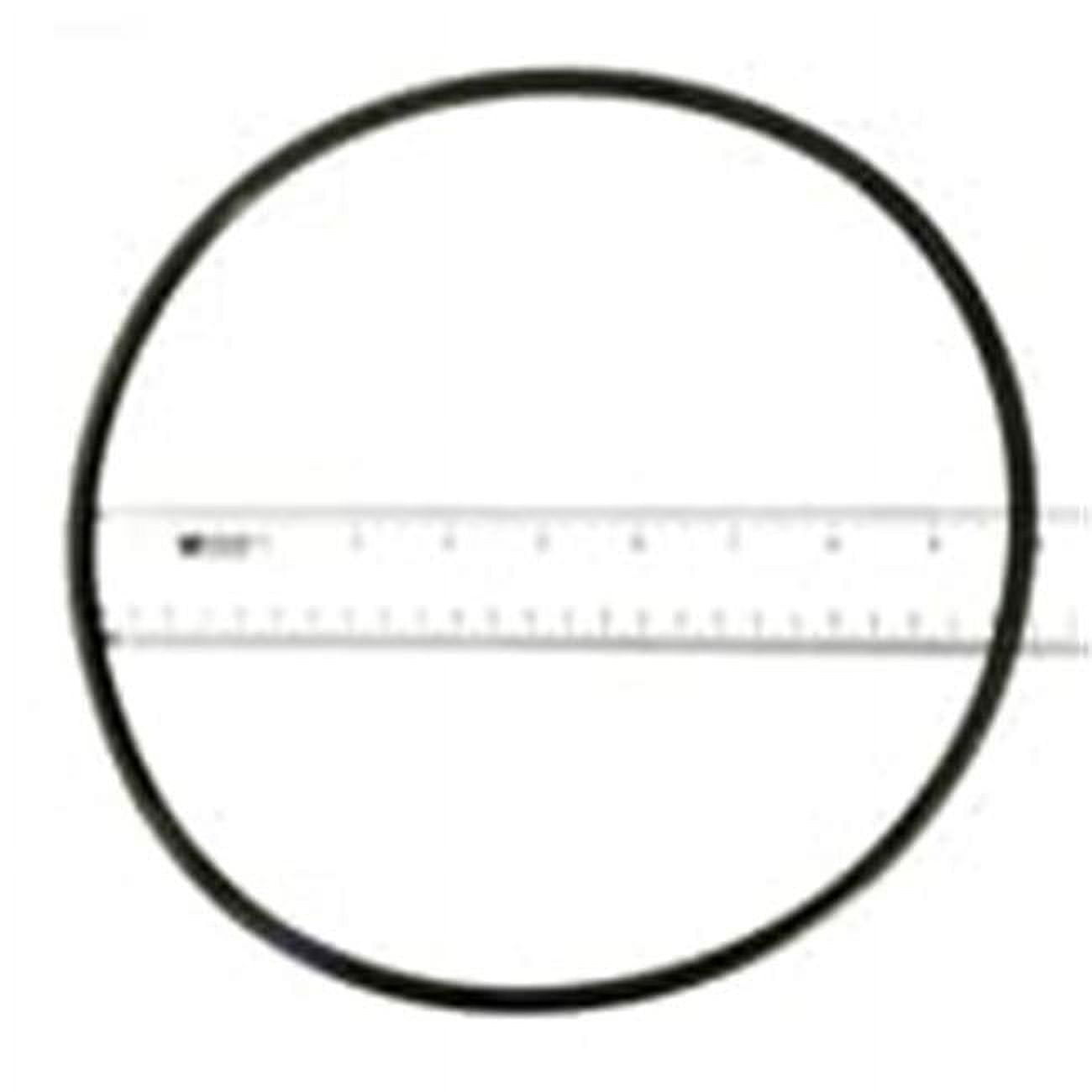 Pool Lid O-Ring