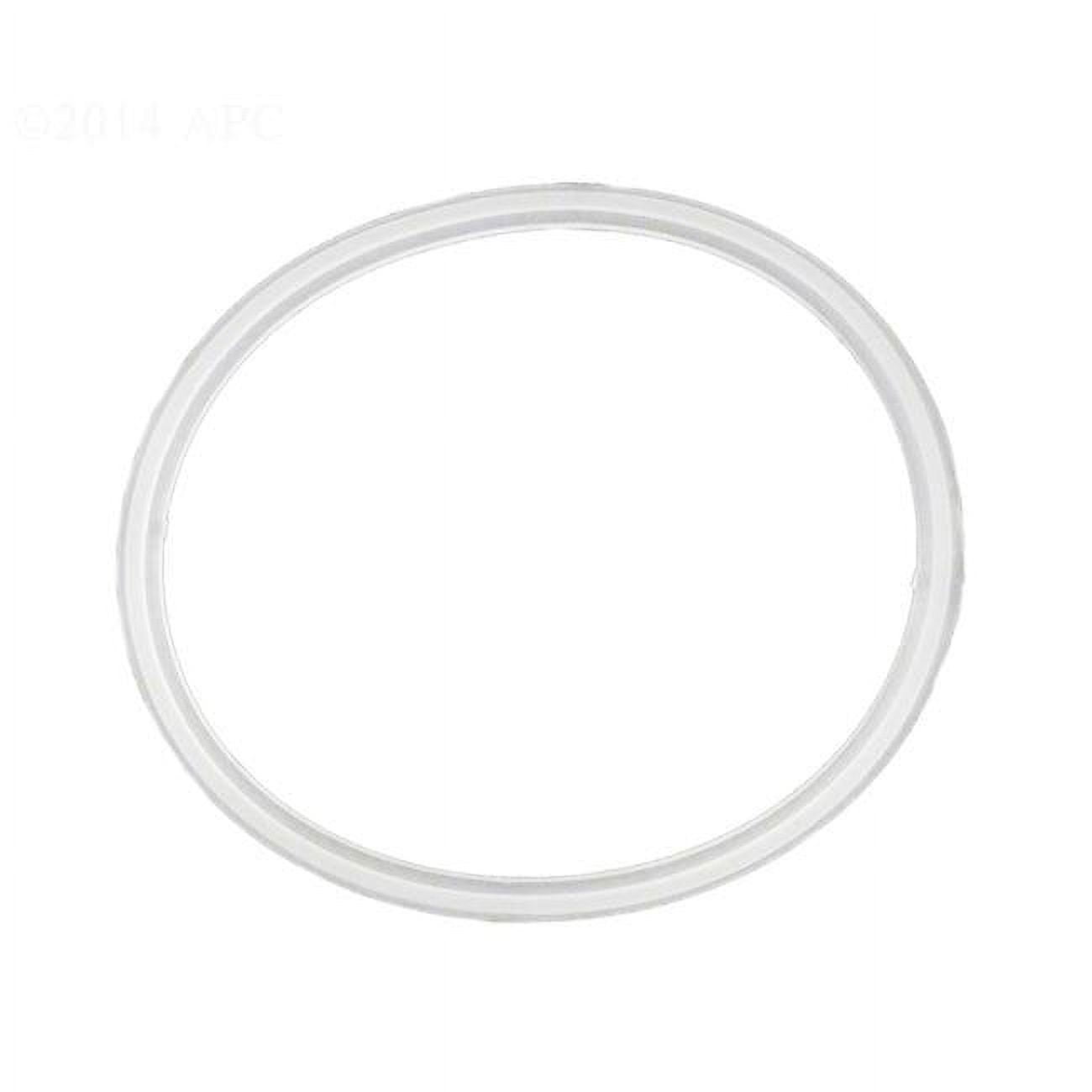 Gunite Lower Body Gasket