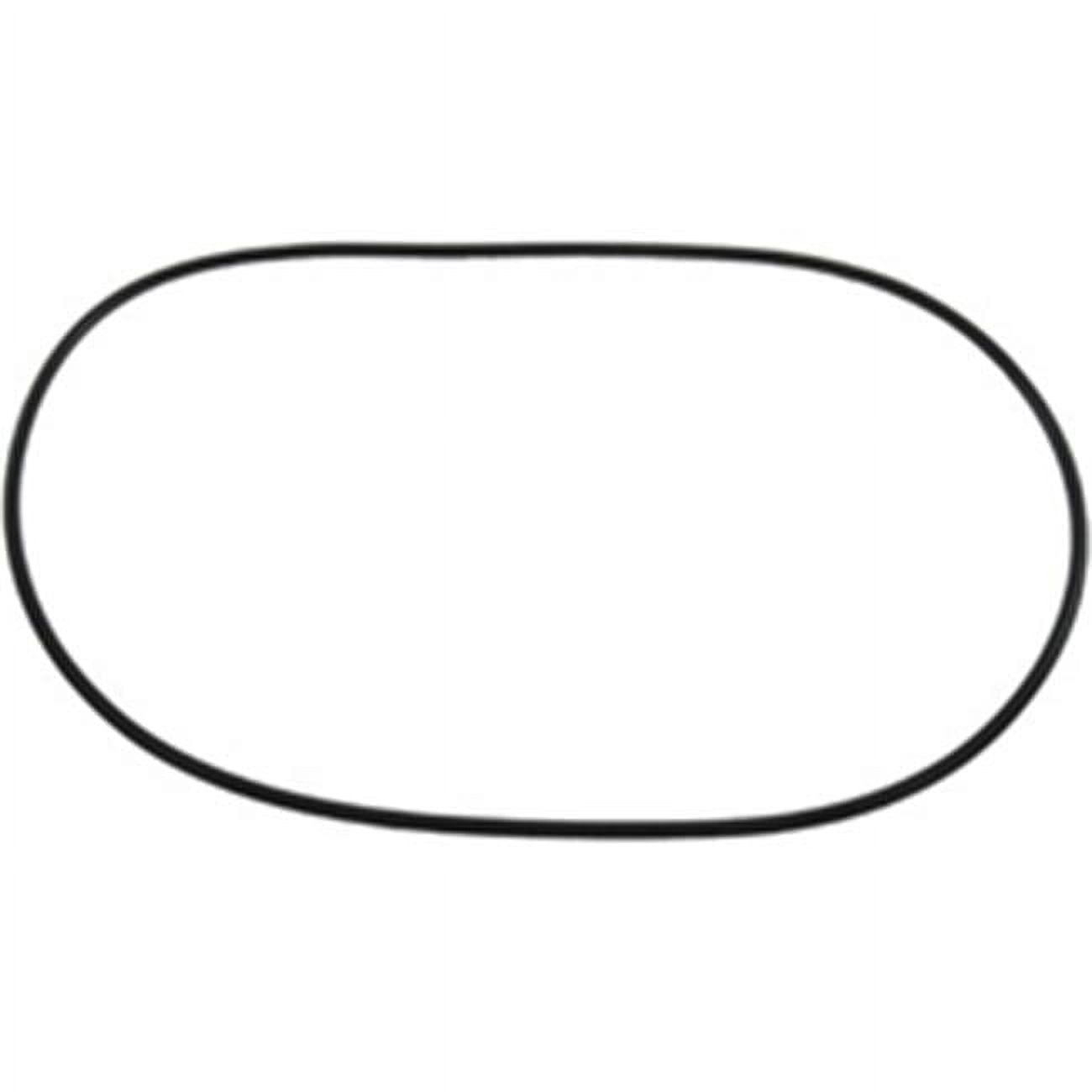 Pool Lid O-Ring