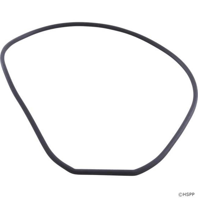 Gasket Faceplate for Waterway SVl56