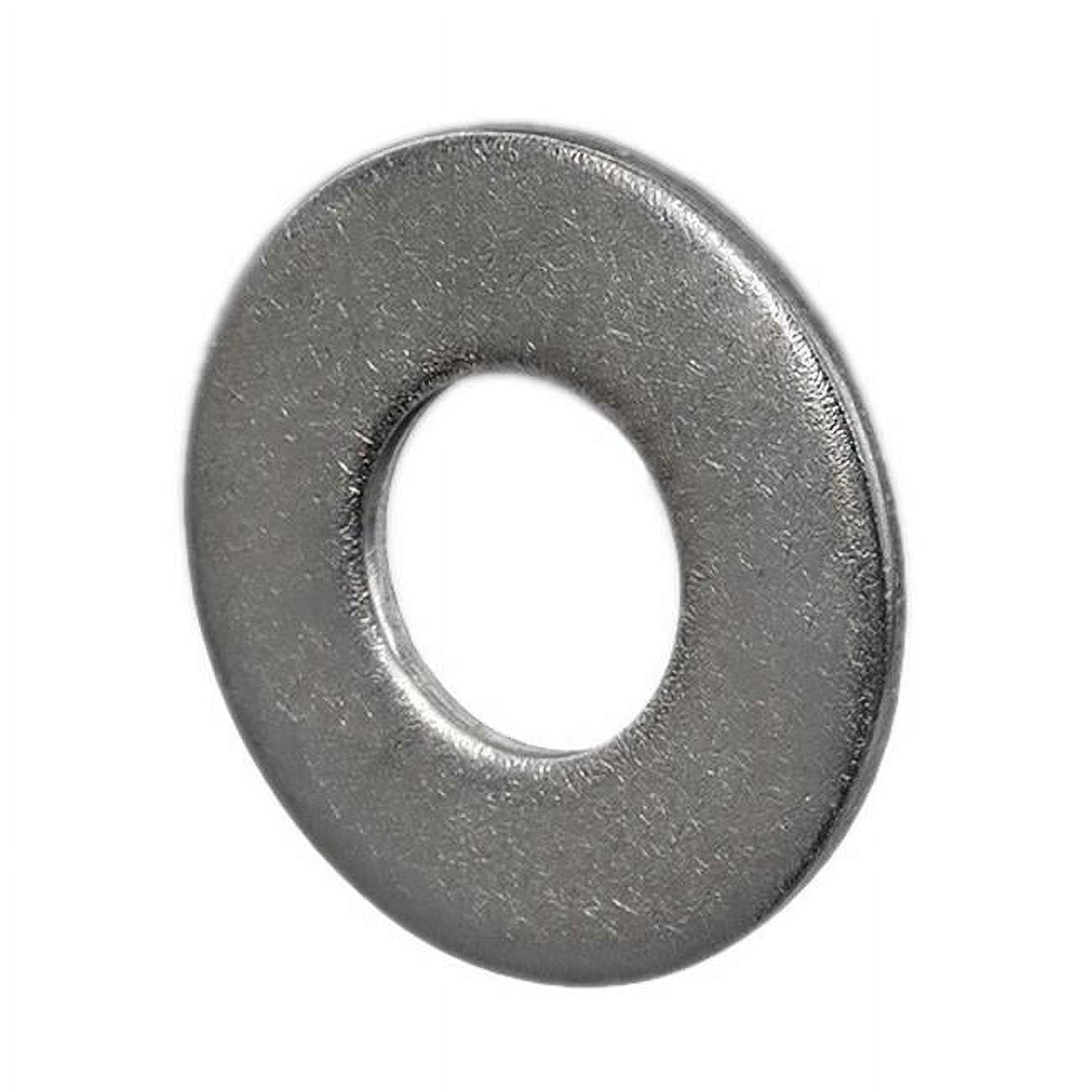 Picture of A&A Bolt & Screw V2683 0.75 in. Stainless Washer for Flange Bolt
