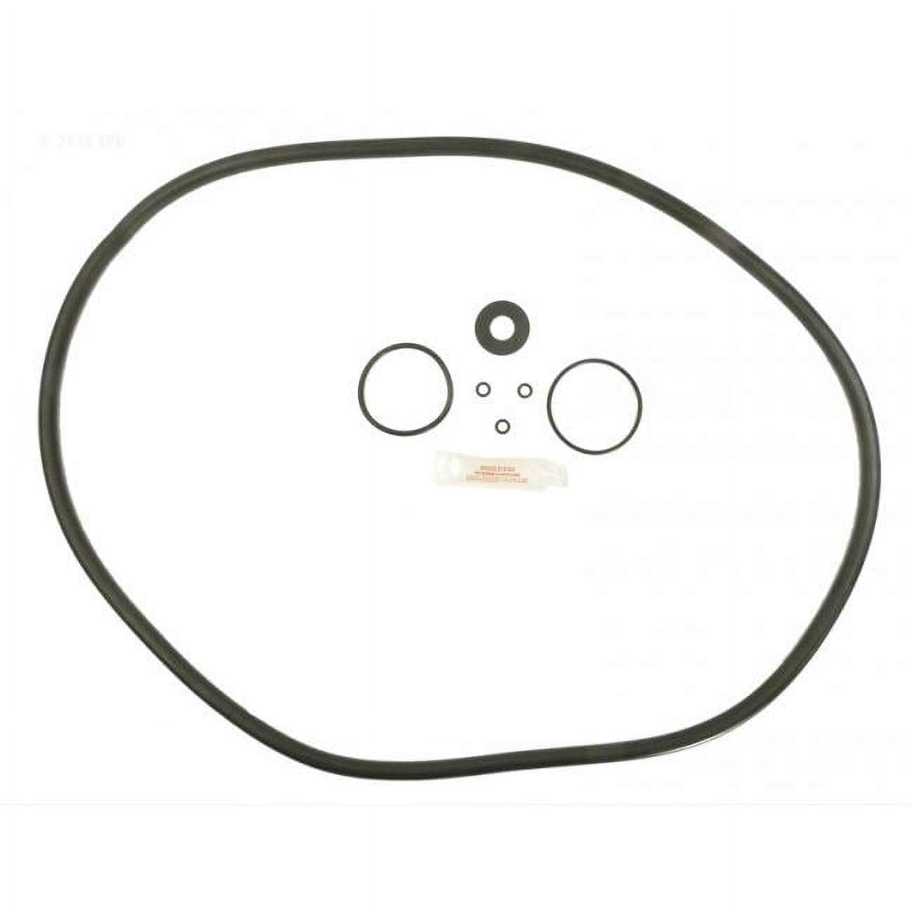 APCOKIT470 Sta-Rite DEP36 O-Ring Kit