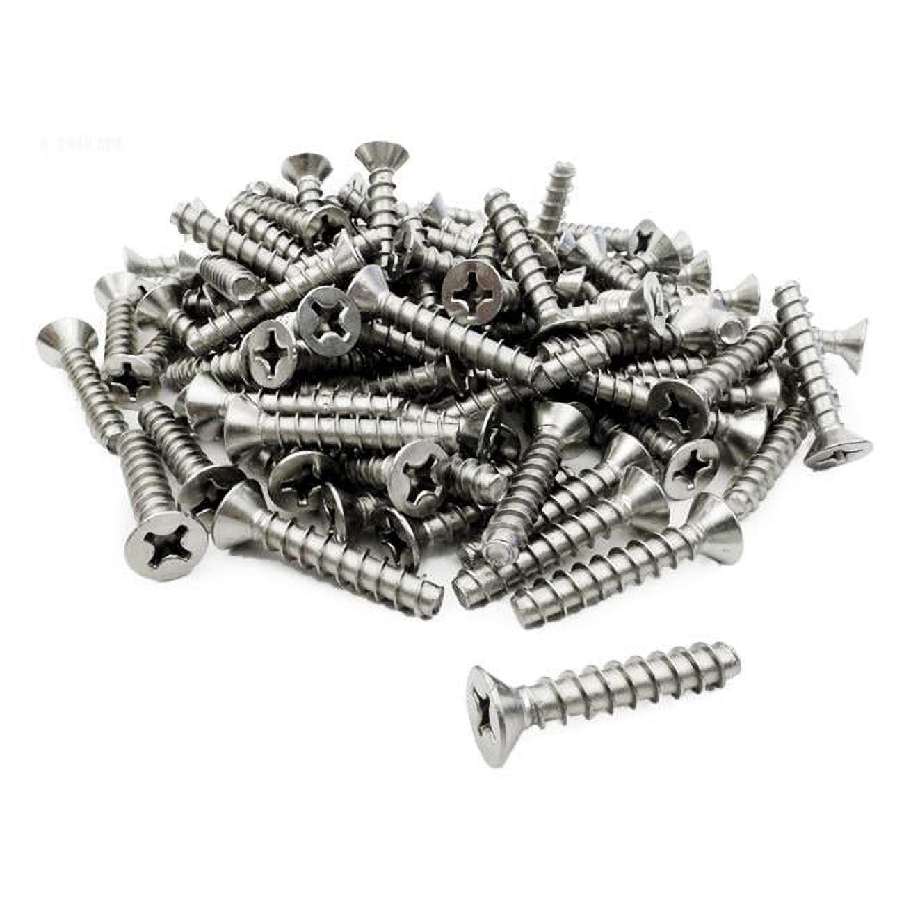 Long Skimmer Screw - Bag of 100