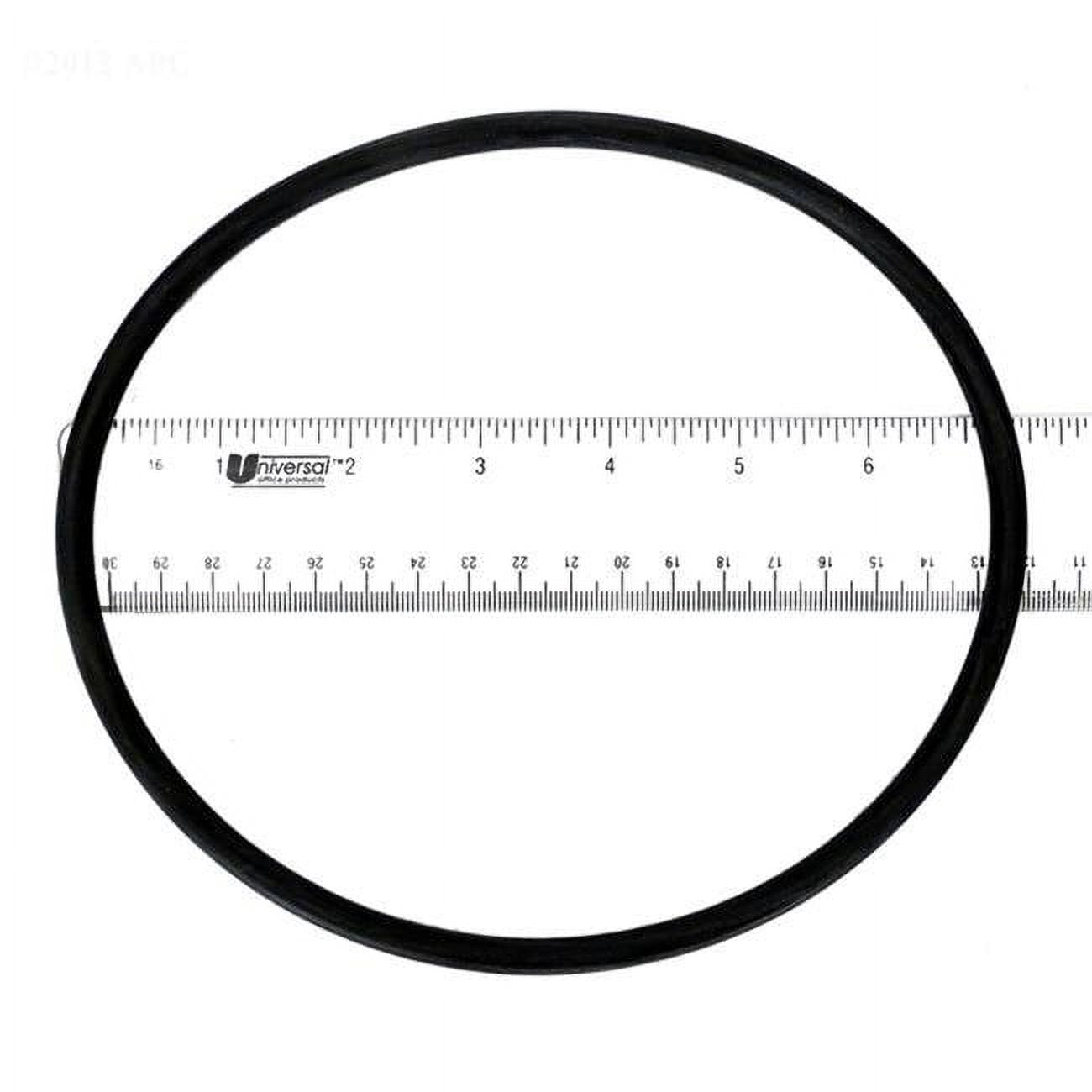 V65103 Wet Institute Lid O-Ring