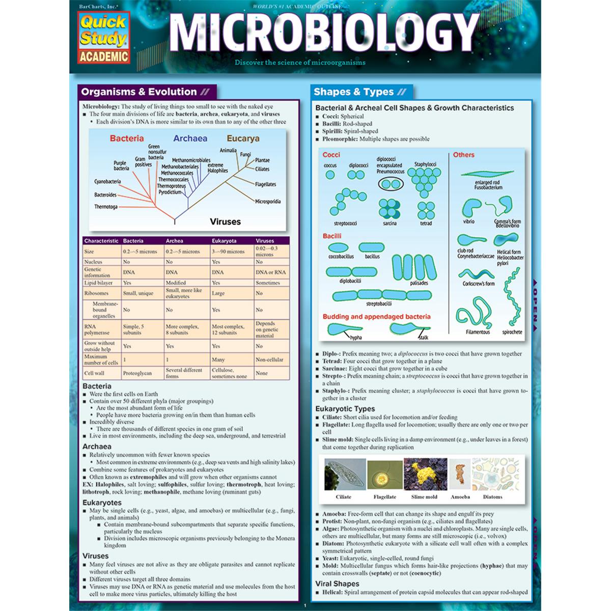 Microbiology Guide in English