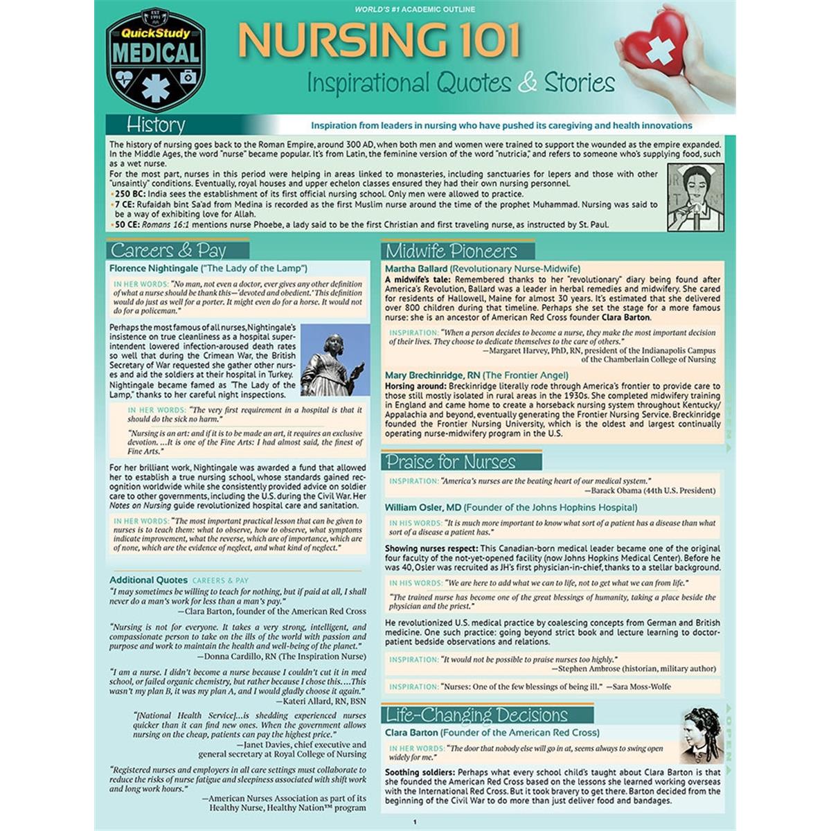 Picture of BarCharts 9781423238751 Nursing 101 - Inspirational Quotes & Stories Laminated Reference Guide