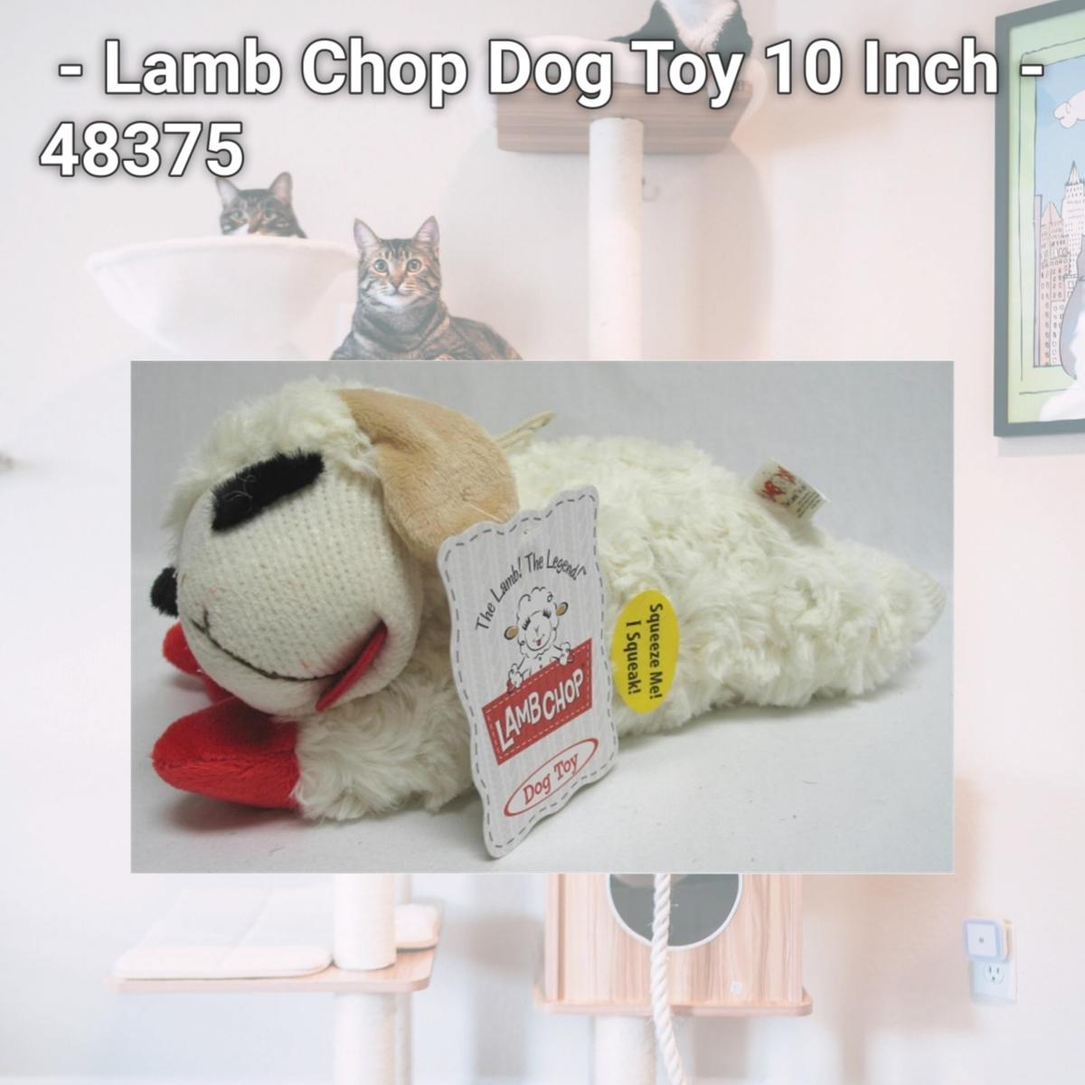 Picture of Multipet International - Lamb Chop Dog Toy 10 Inch - 48375