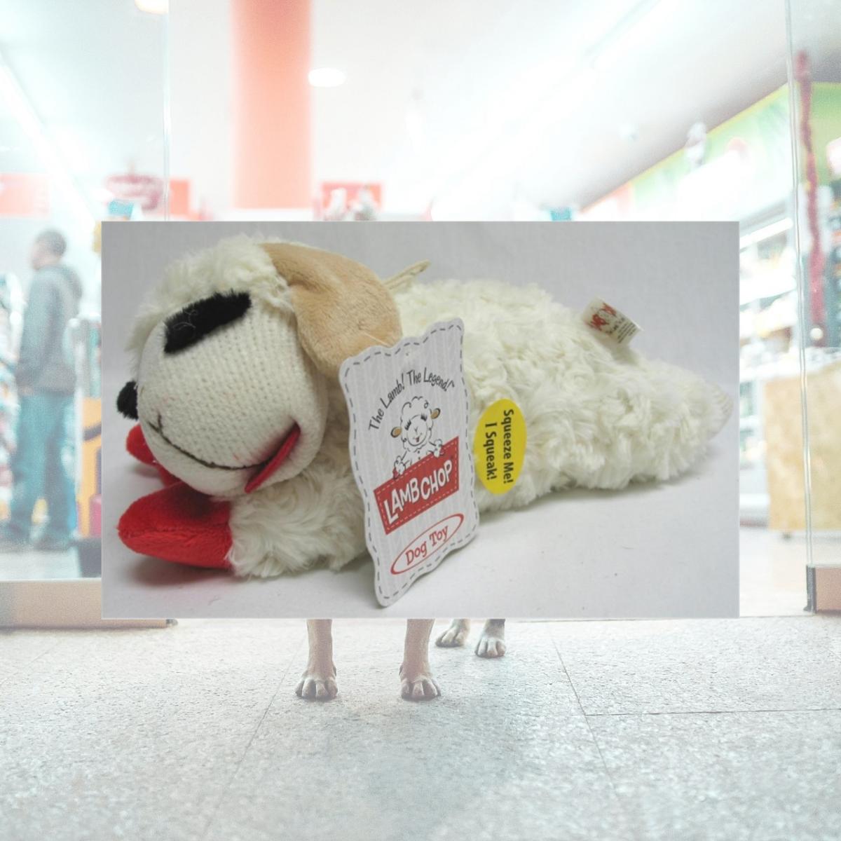 Picture of Multipet International - Lamb Chop Dog Toy 10 Inch - 48375