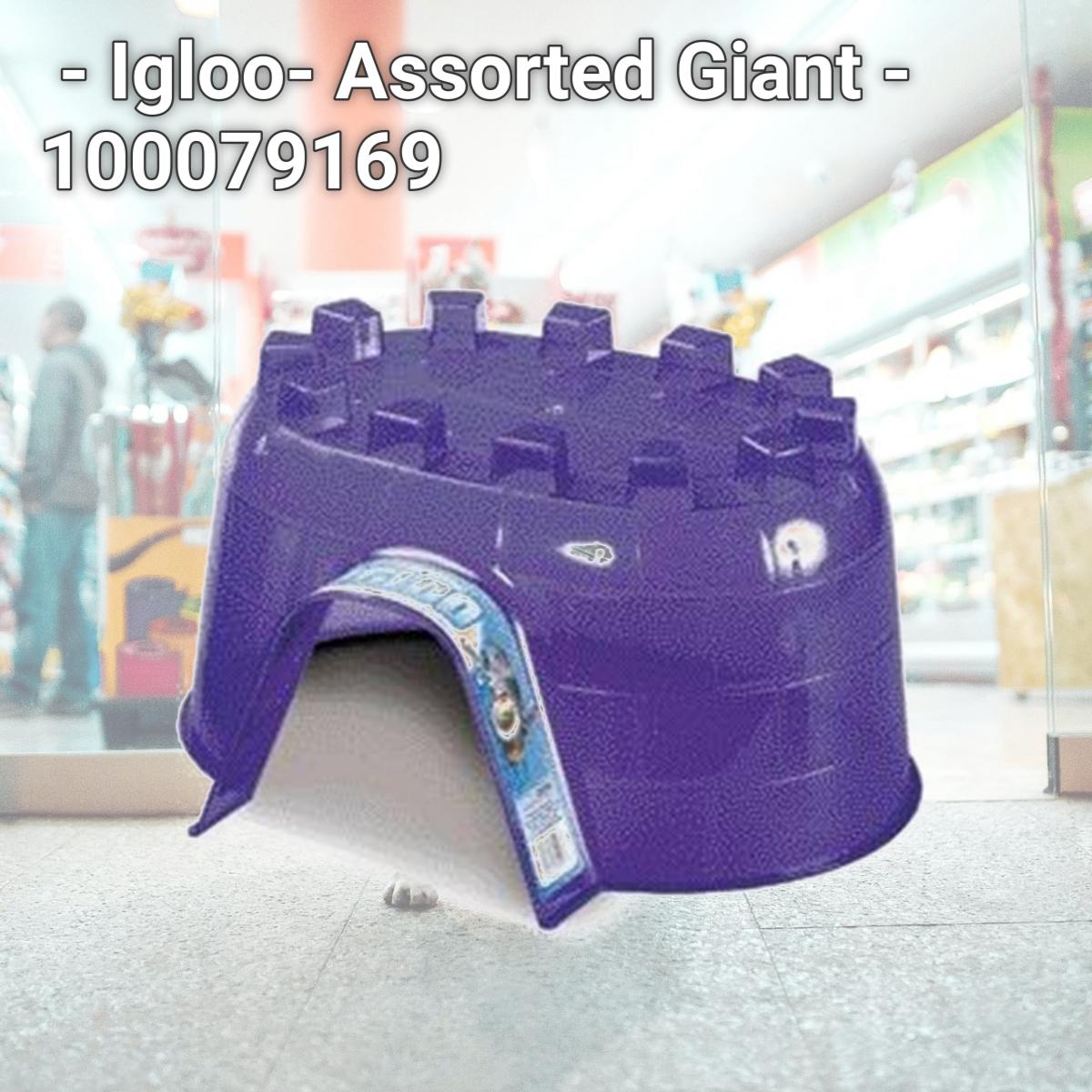 Picture of Super Pet - Igloo- Assorted Giant - 100079169