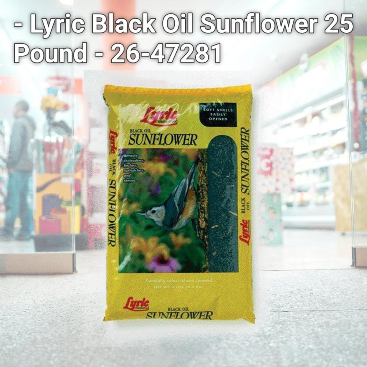 Picture of Greenview Lyric - Lyric Black Oil Sunflower 25 Pound - 26-47281