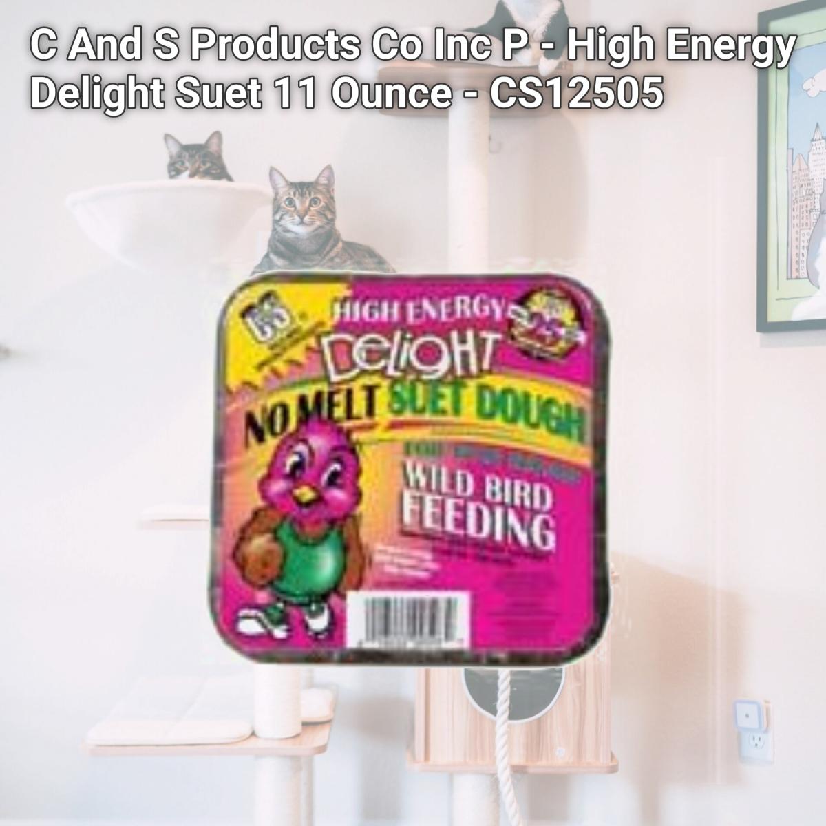 Picture of C And S Products Co Inc P - High Energy Delight Suet 11 Ounce - CS12505