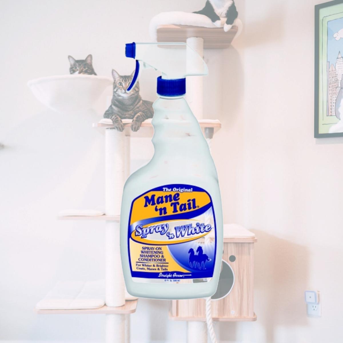 Picture of Straight Arrow Products D - Spray And White Shampoo 1 Quart - 544876