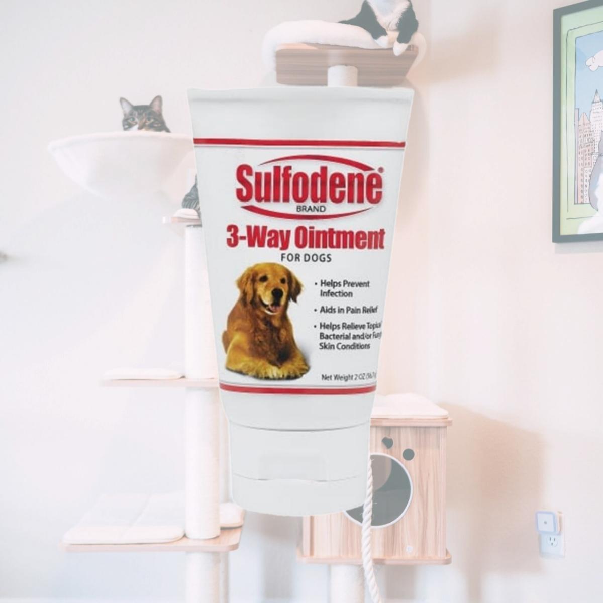 Picture of Farnam Pet - Sulfodene 3 Way Ointment 2 Ounce - 100502457