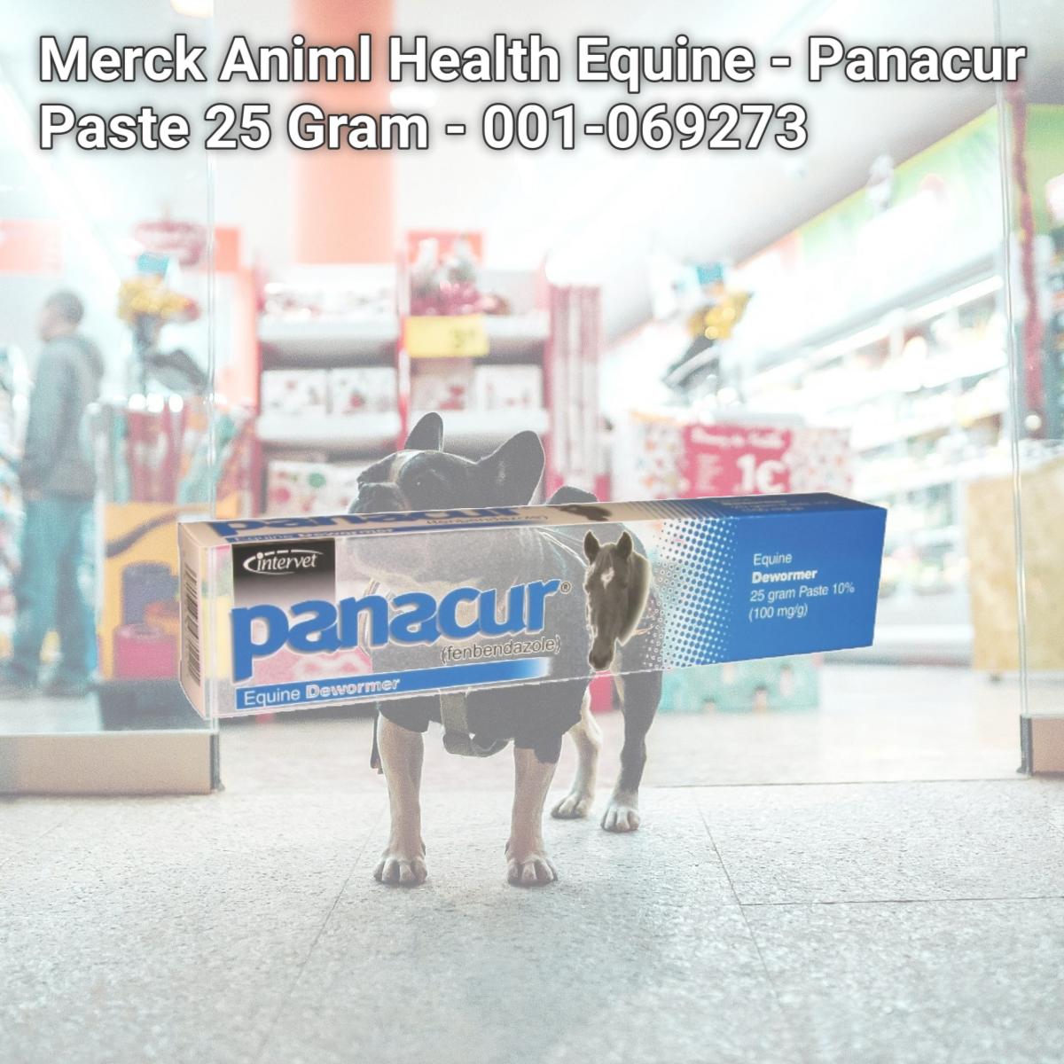 Picture of Merck Animl Health Equine - Panacur Paste 25 Gram - 001-069273