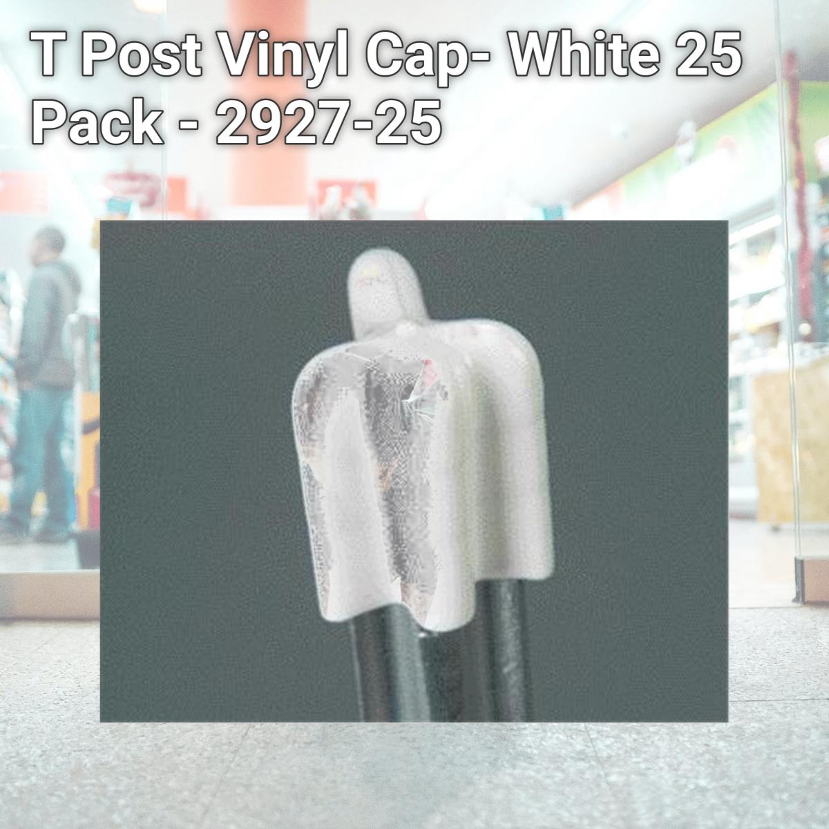 Picture of Dare Products Inc T Post Vinyl Cap- White 25 Pack - 2927-25