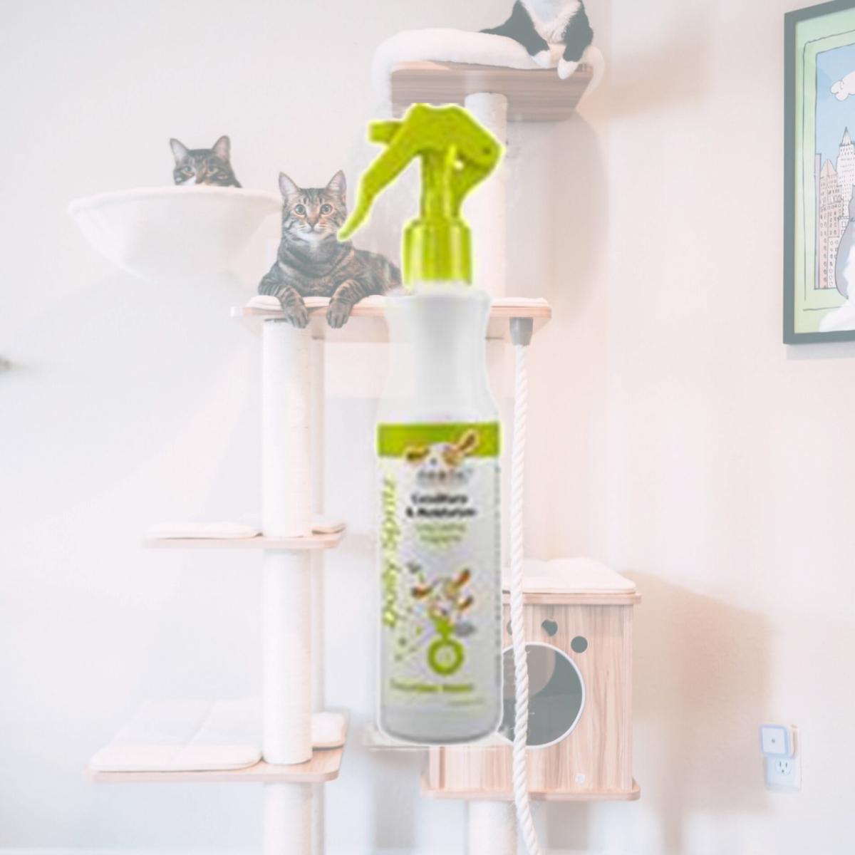 Picture of Nootie 056059 Daily Spritz Long Lasting Fragrance For Pets - Cucumber Melon&#44; 8 oz.