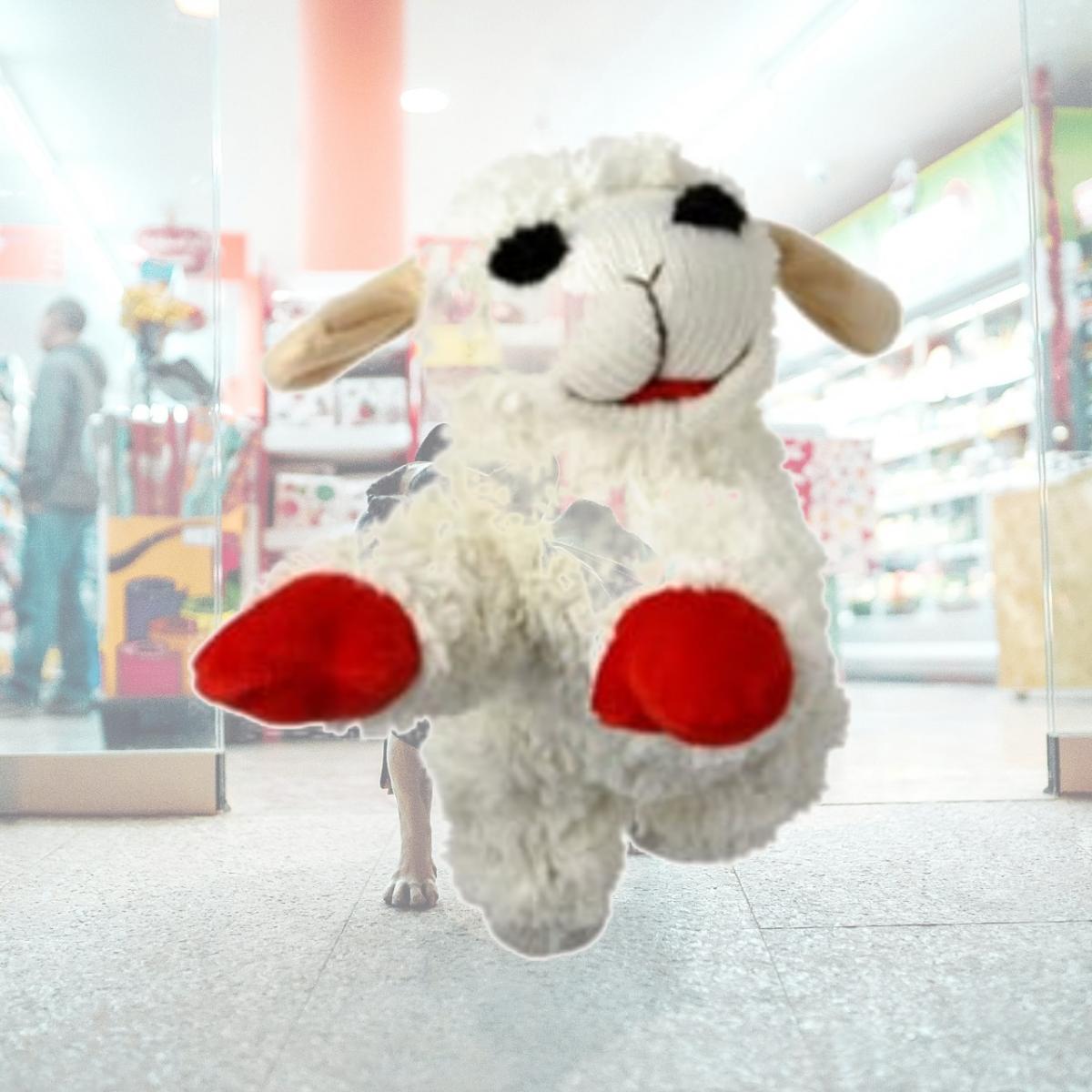 Picture of Multipet International 056899 Mini Lamb Chop Dog Toy - Cream, 6 in.