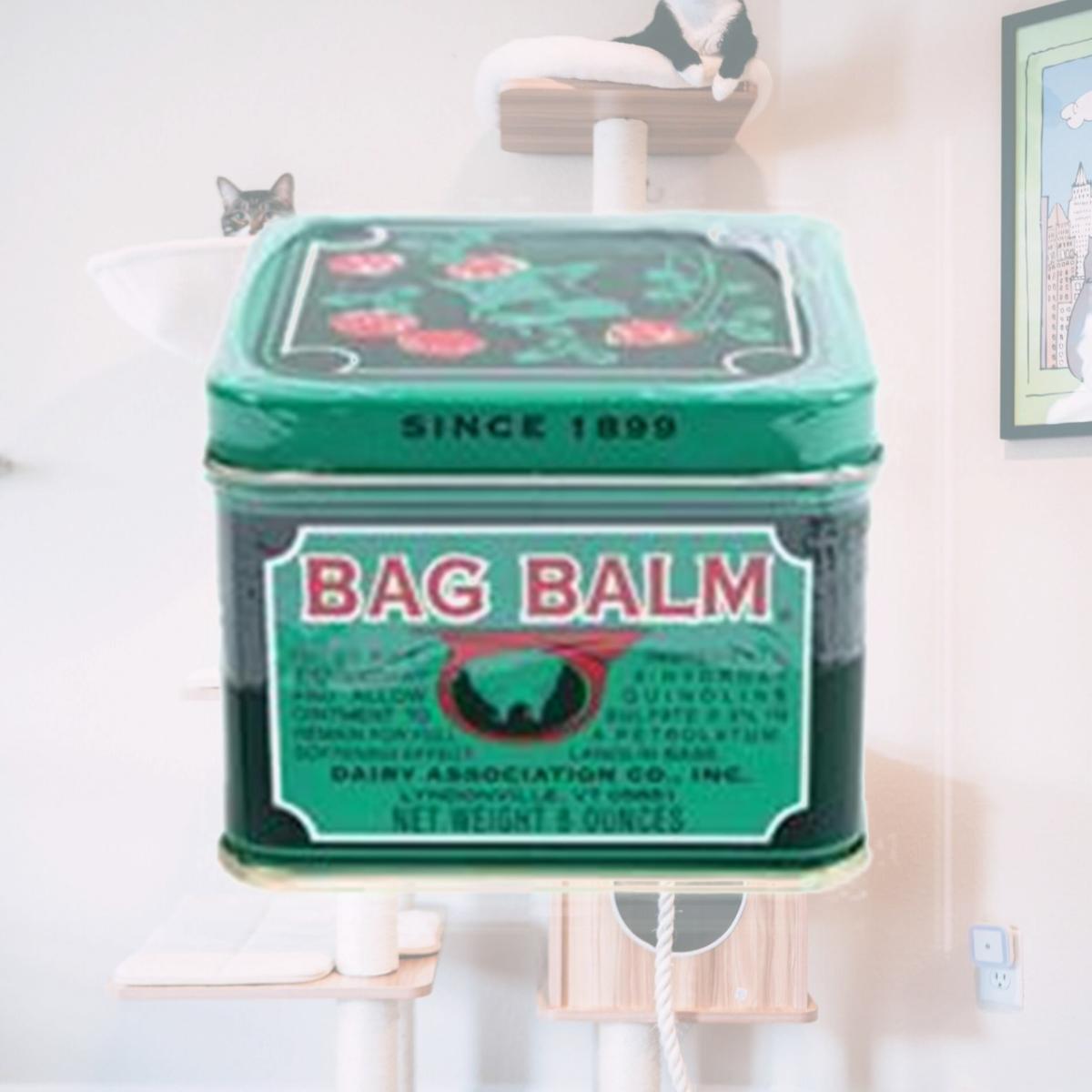 Picture of Dairy Association Co Inc-Bag Balm 8 Ounce