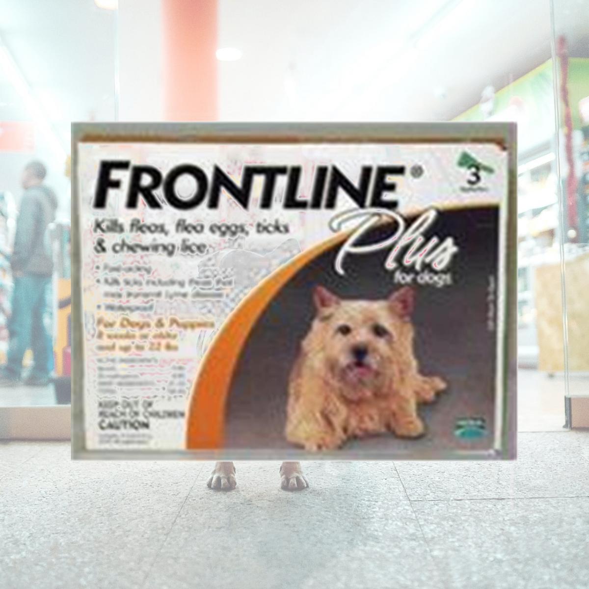 Picture of F.c.e. Inc D-Frontline Plus Dog 1-22 Lb-3pack