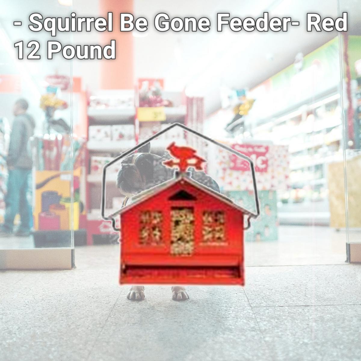 Picture of Woodstream Wildbird - Squirrel Be Gone Feeder- Red 12 Pound