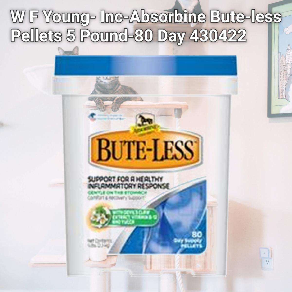 Picture of W F Young- Inc-Absorbine Bute-less Pellets 5 Pound-80 Day 430422