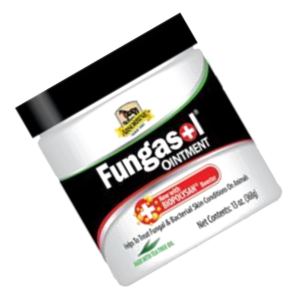 Picture of W F Young- Inc-Absorbine Fungasol Ointment 13 Ounce