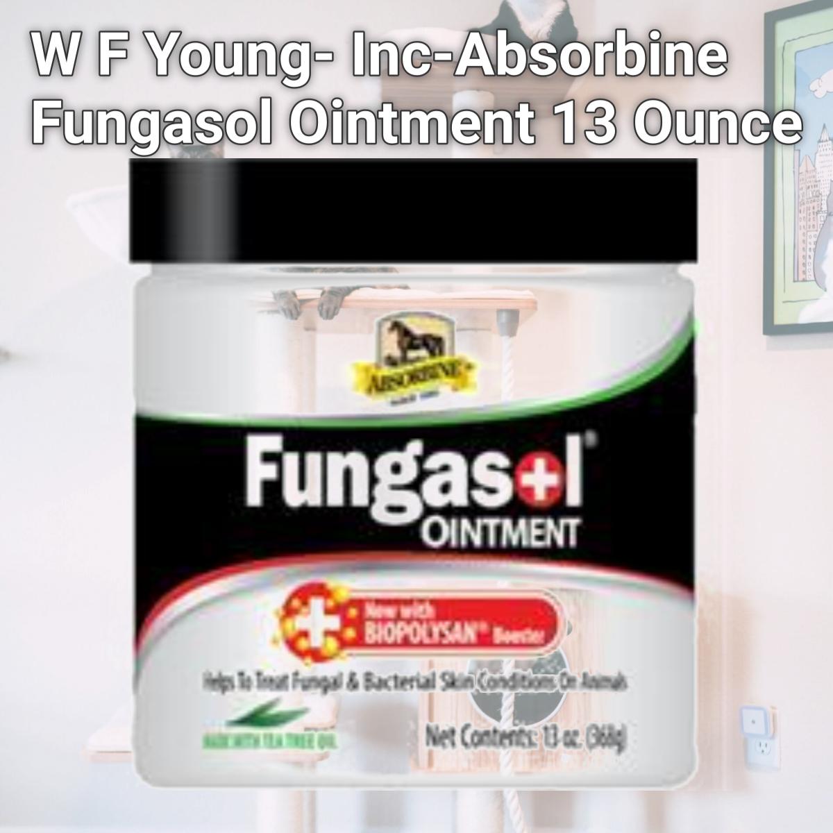 Picture of W F Young- Inc-Absorbine Fungasol Ointment 13 Ounce