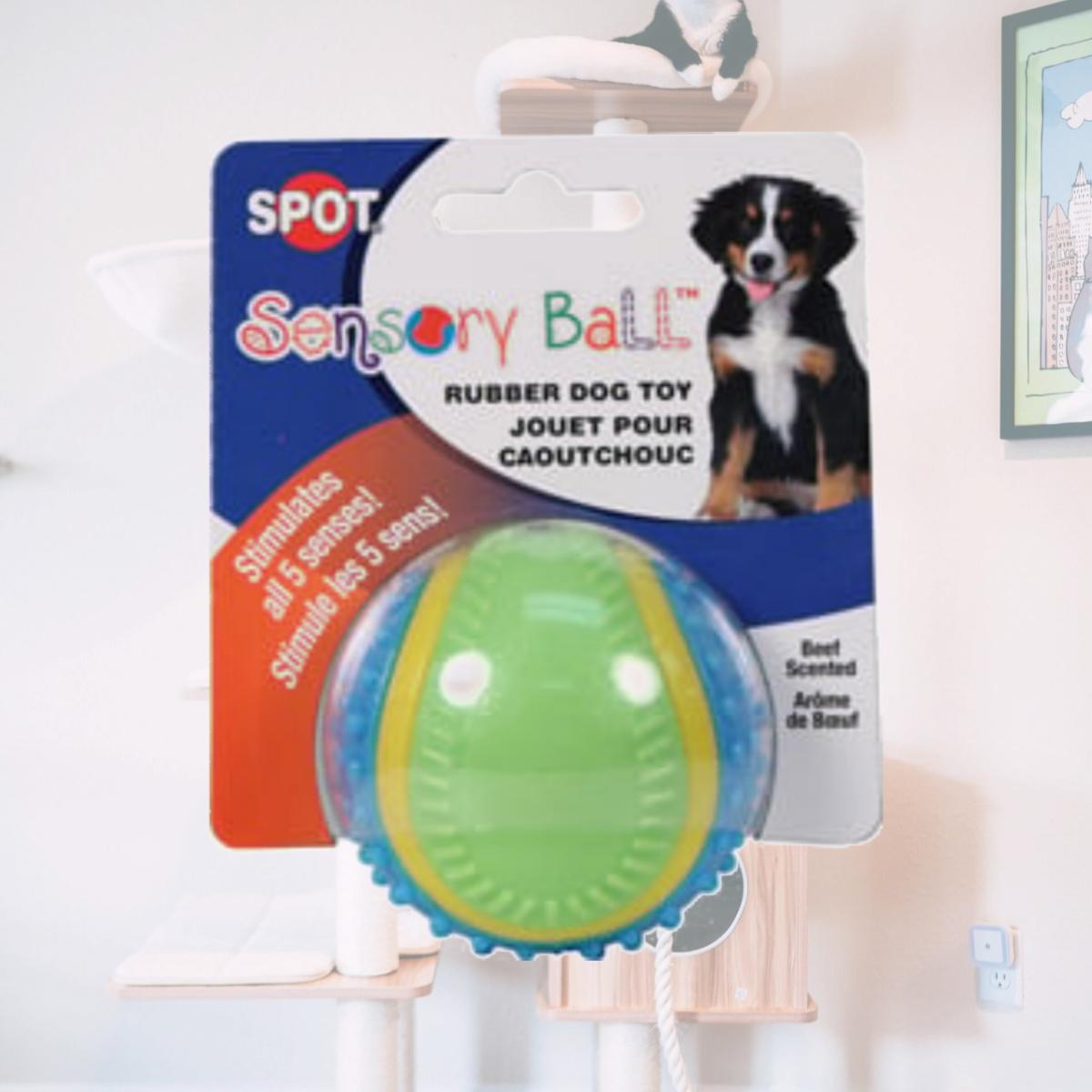 Picture of Ethical Dog 689732 Sensory Ball Rubber Dog Toy&#44; Small