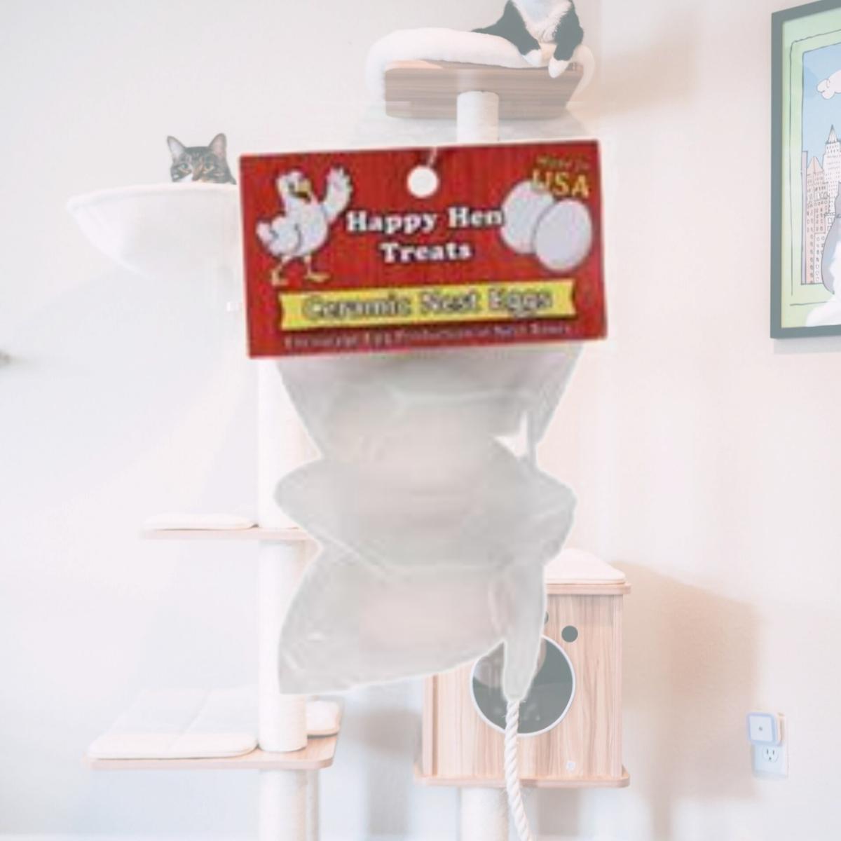 Picture of Durvet-Happy Hen D-Happy Hen Ceramic Nest Eggs- White 2 Pack 089-17056