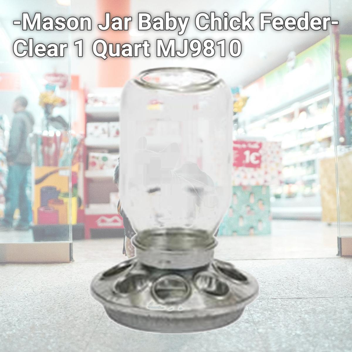 Picture of Miller Mfg Co Inc P-Mason Jar Baby Chick Feeder- Clear 1 Quart MJ9810