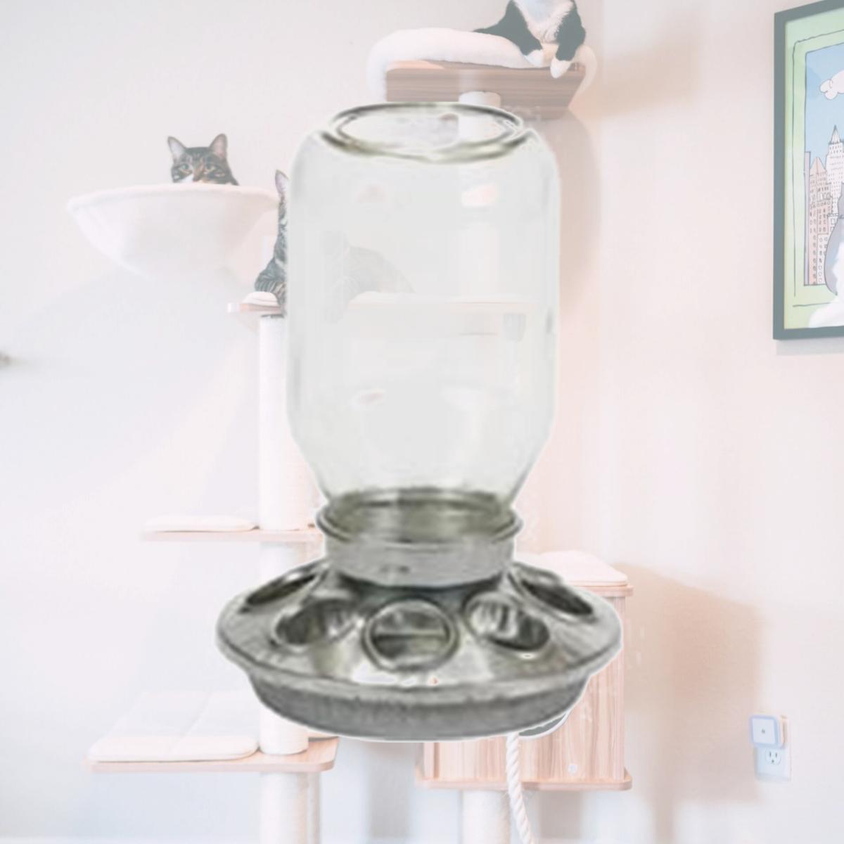 Picture of Miller Mfg Co Inc P-Mason Jar Baby Chick Feeder- Clear 1 Quart MJ9810
