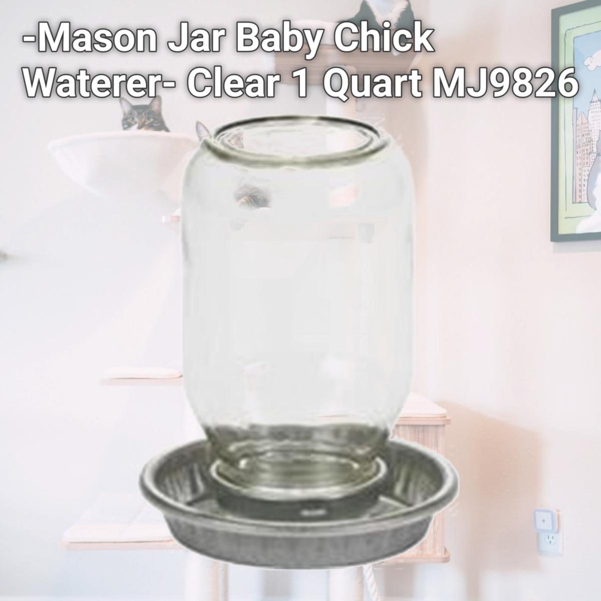 Picture of Miller Mfg Co Inc P-Mason Jar Baby Chick Waterer- Clear 1 Quart MJ9826