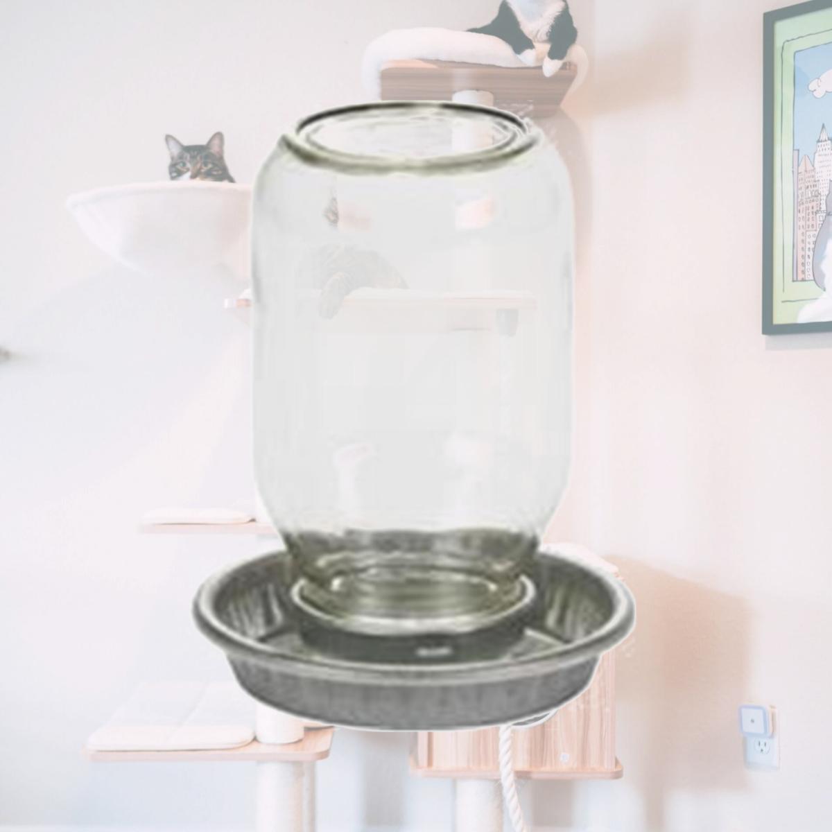 Picture of Miller Mfg Co Inc P-Mason Jar Baby Chick Waterer- Clear 1 Quart MJ9826