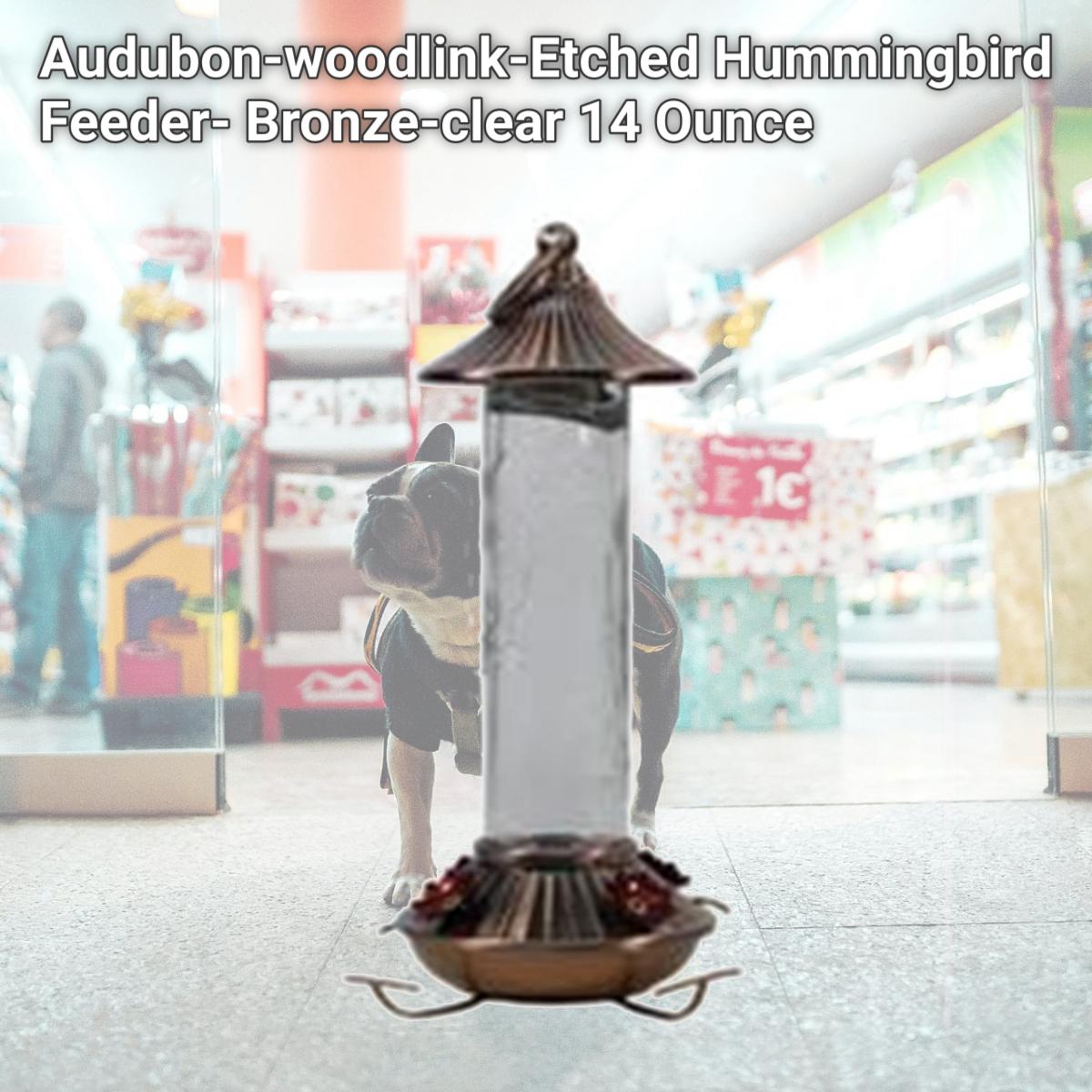 Picture of Audubon-woodlink-Etched Hummingbird Feeder- Bronze-clear 14 Ounce