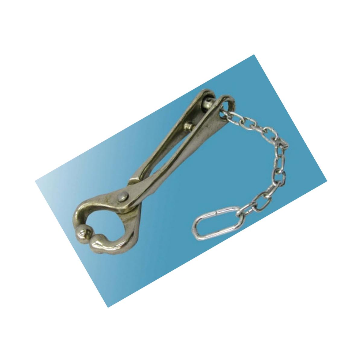 Picture of Durvet Ideal Bull Lead With Chain - 7001