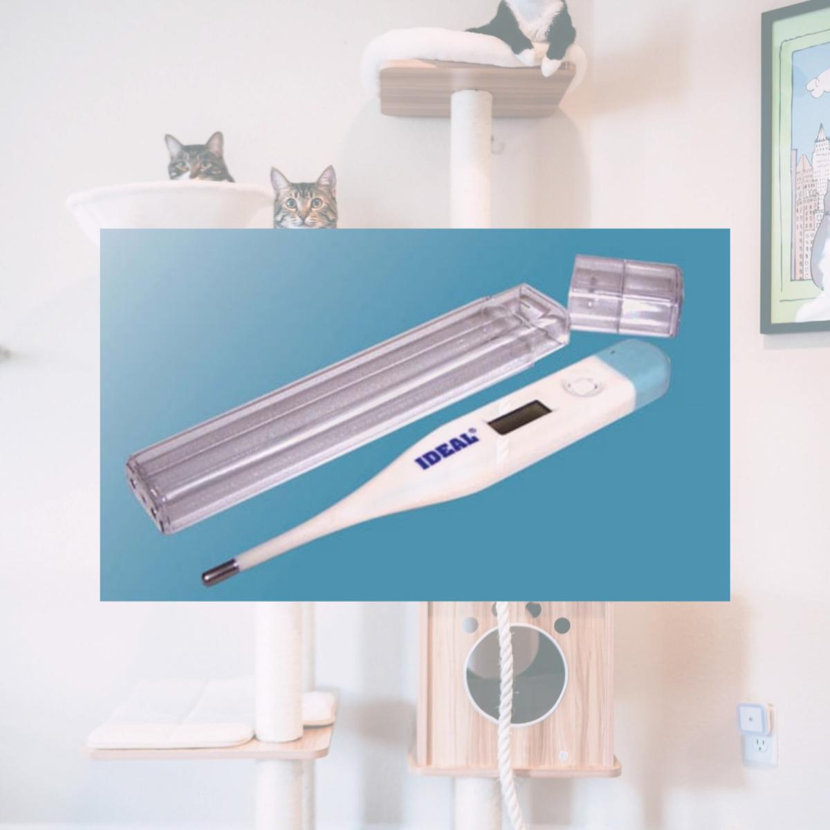 Picture of Durvet Ideal Digital Vet Thermometer - 8207