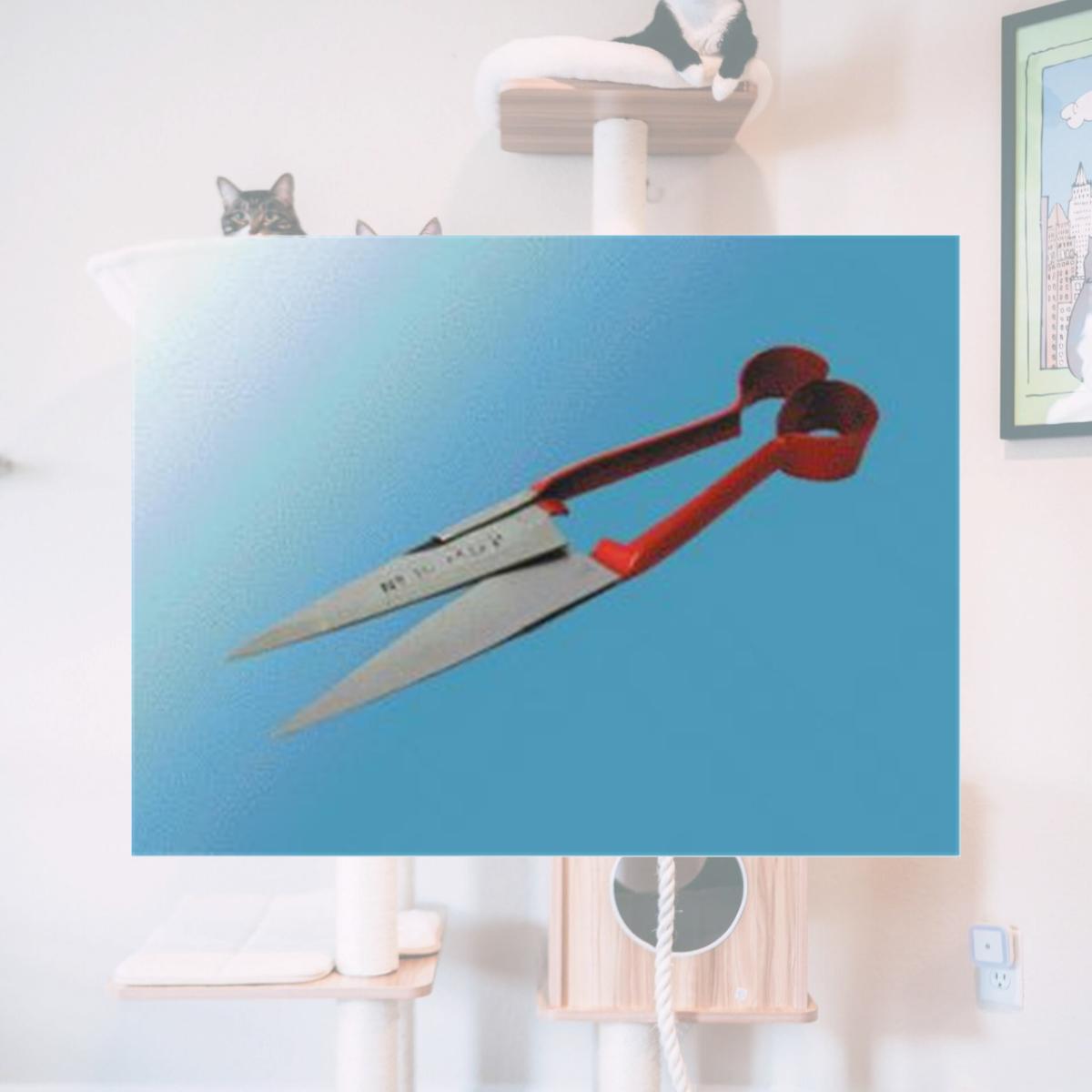 Picture of Durvet Ideal Double Bow Sheep Shears 6.5 Inch - 7015