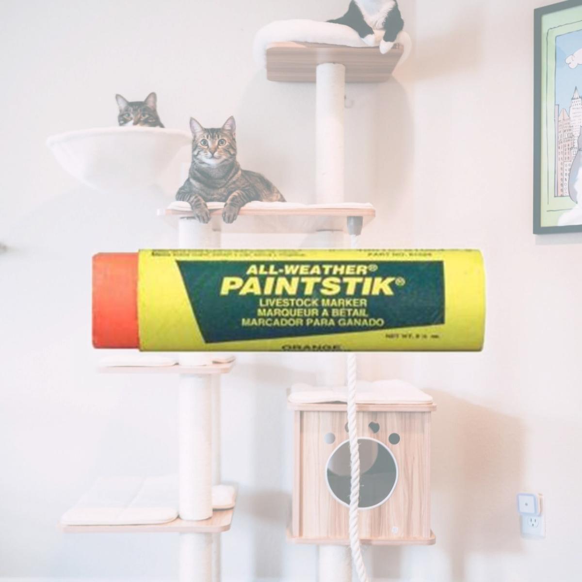 Picture of La-co Industries All-weather Paintstik Red Pack Of 12