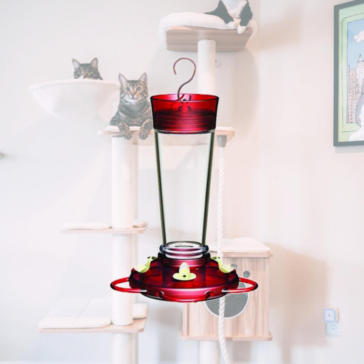 Picture of Classic Brands Ruby New Classic Feeder 10 Ounce 35 