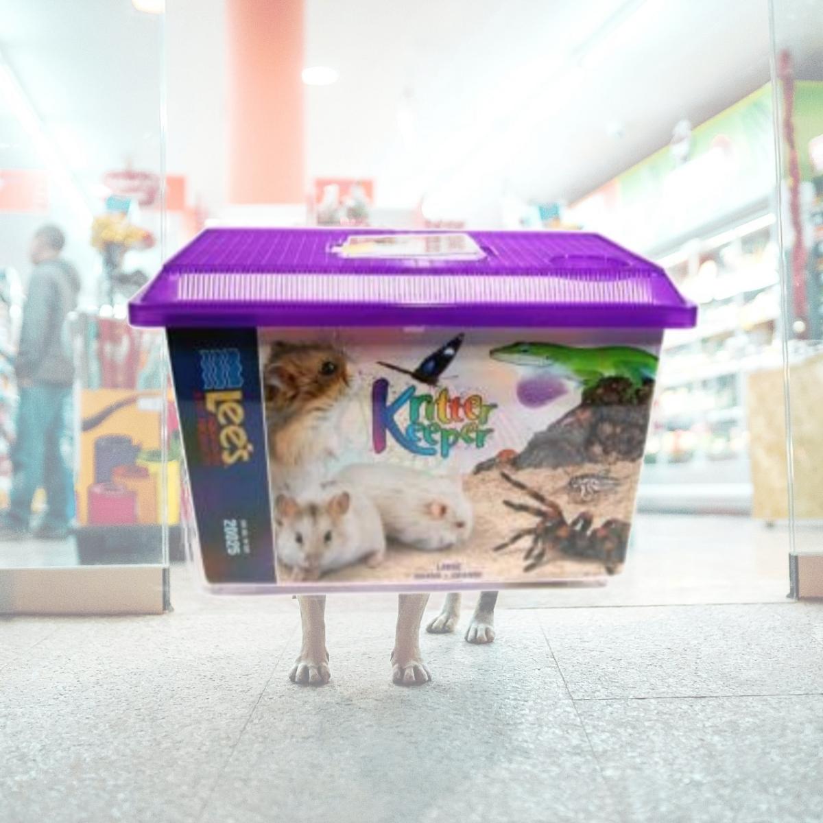 Picture of Lee S Aquarium & Pet Products Kritter Keeper Large - 20025