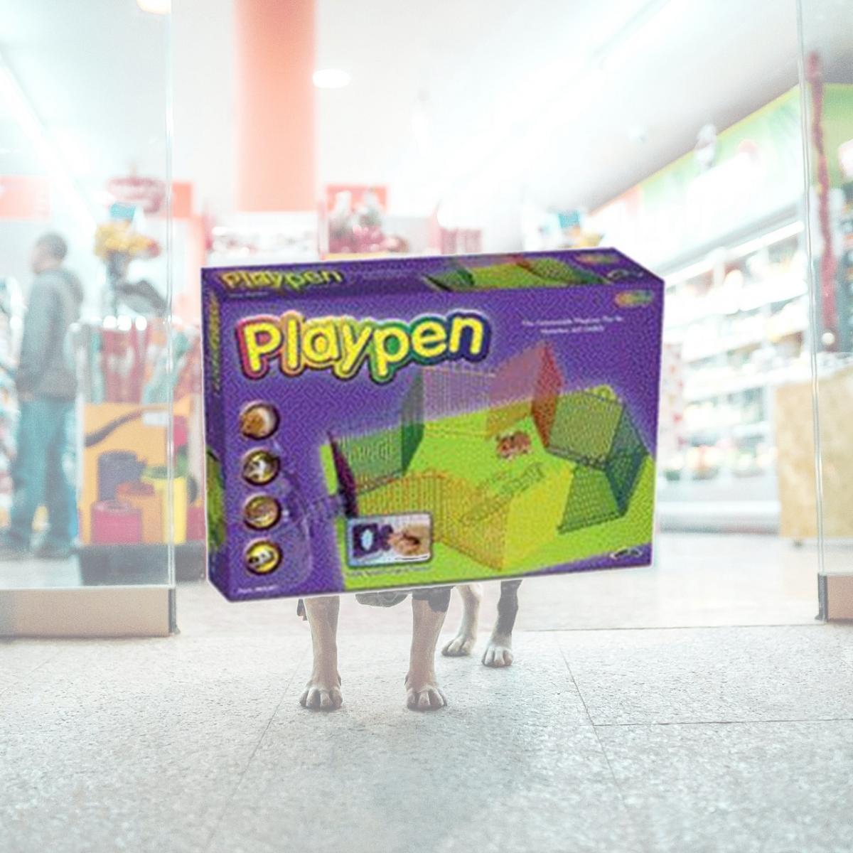 Picture of Pets International Crittertrail Playpen With Mat - 100079247