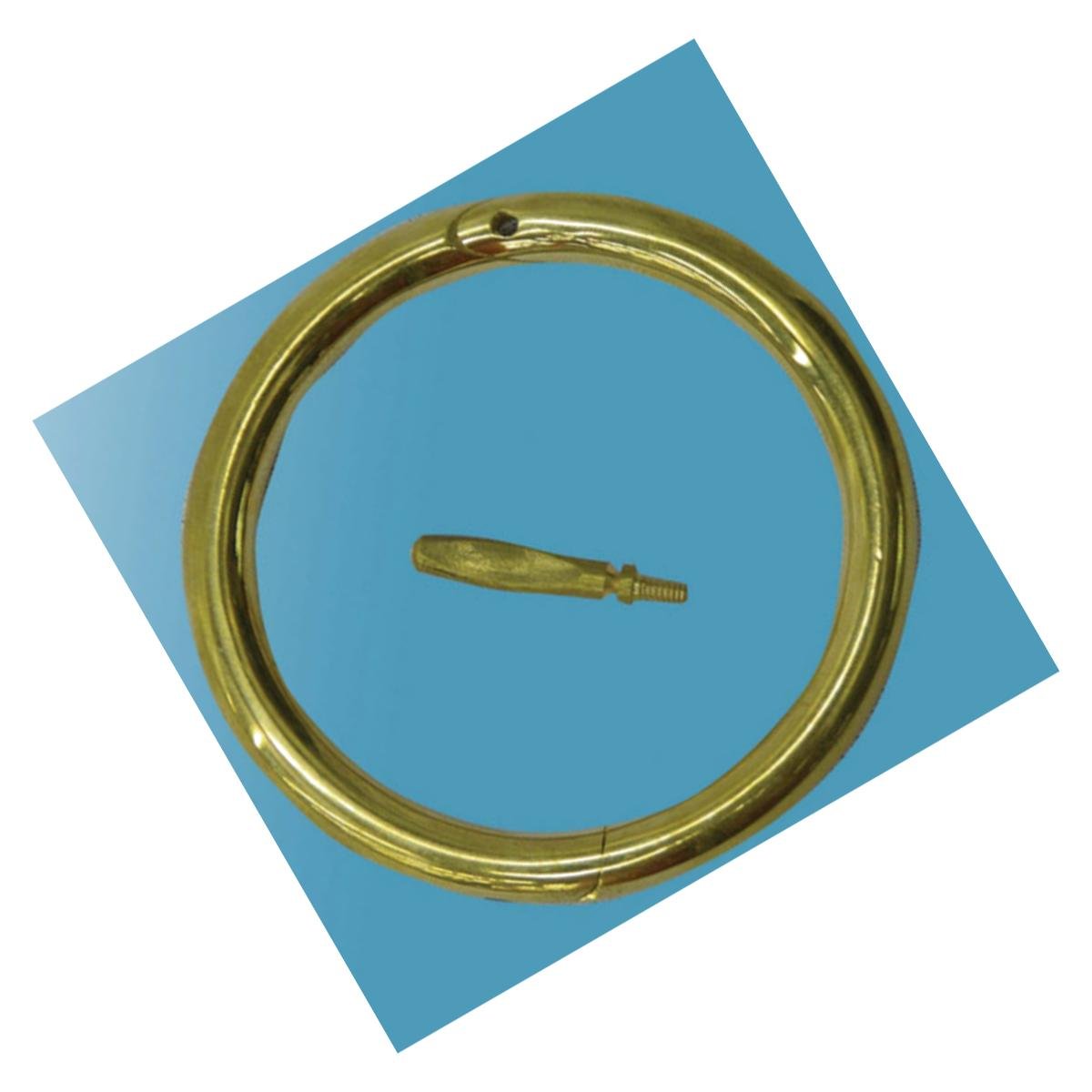 Picture of Durvet Ideal Bull Ring 3 Inch - 7002
